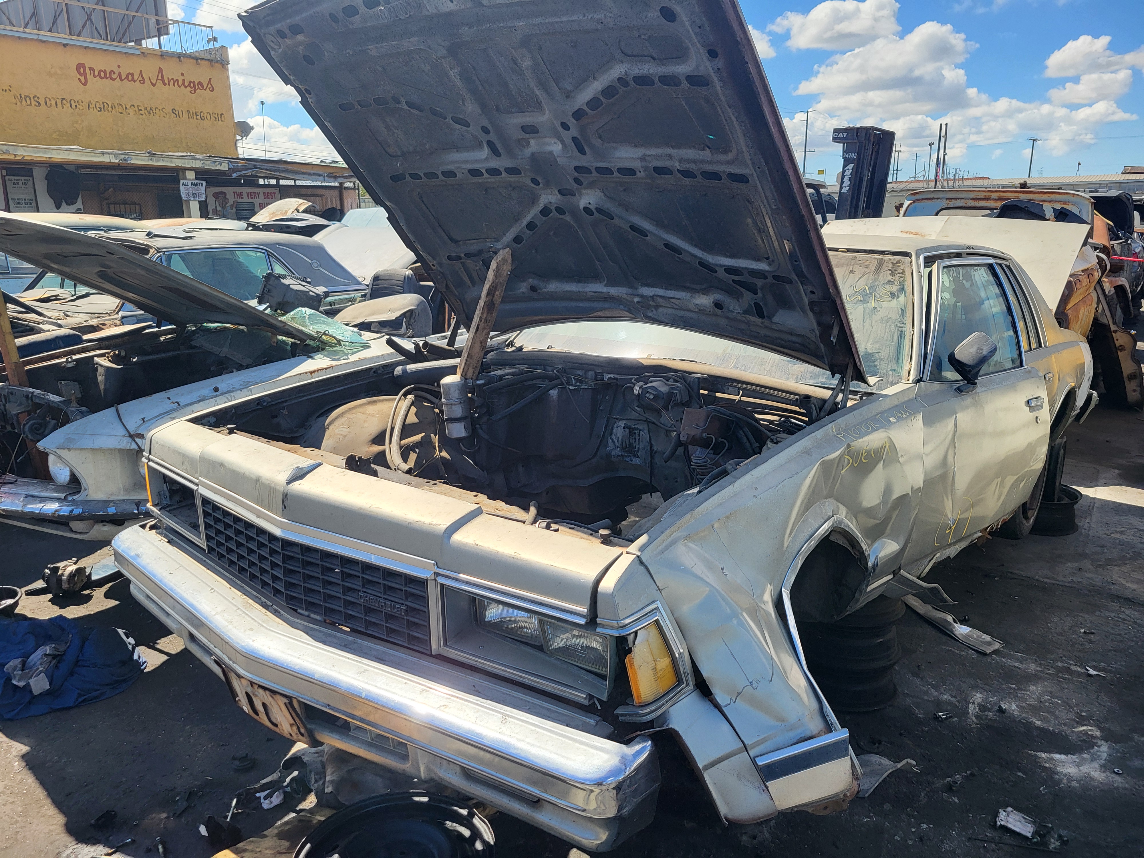1979 CHEVROLET Caprice