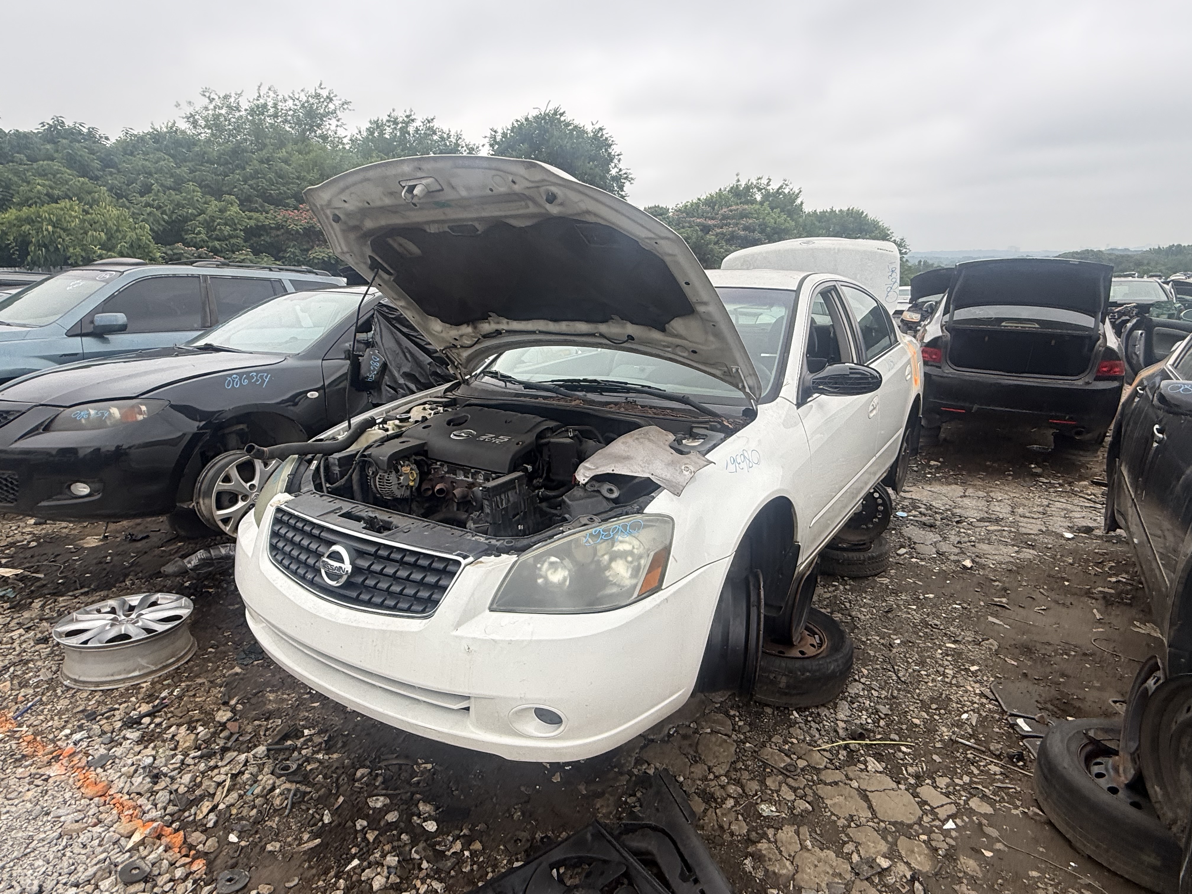 2006 NISSAN Altima