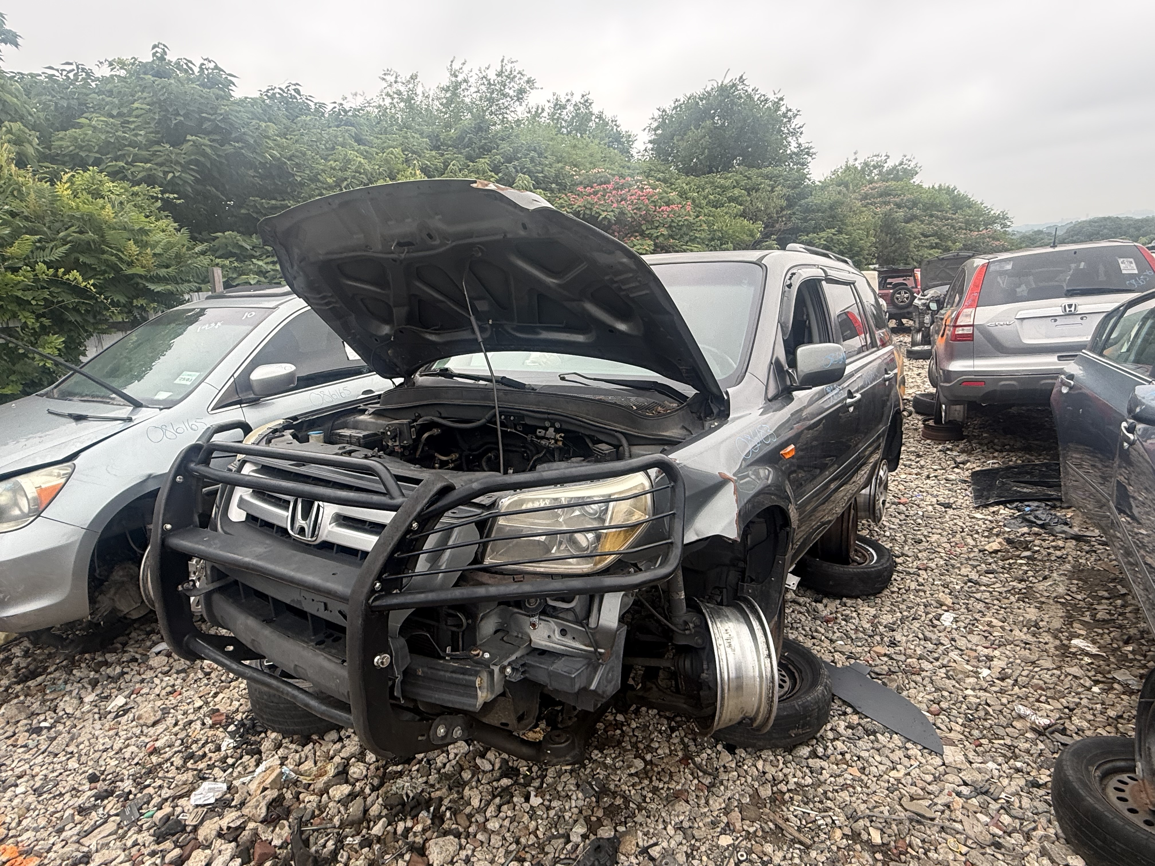 2007 HONDA Pilot