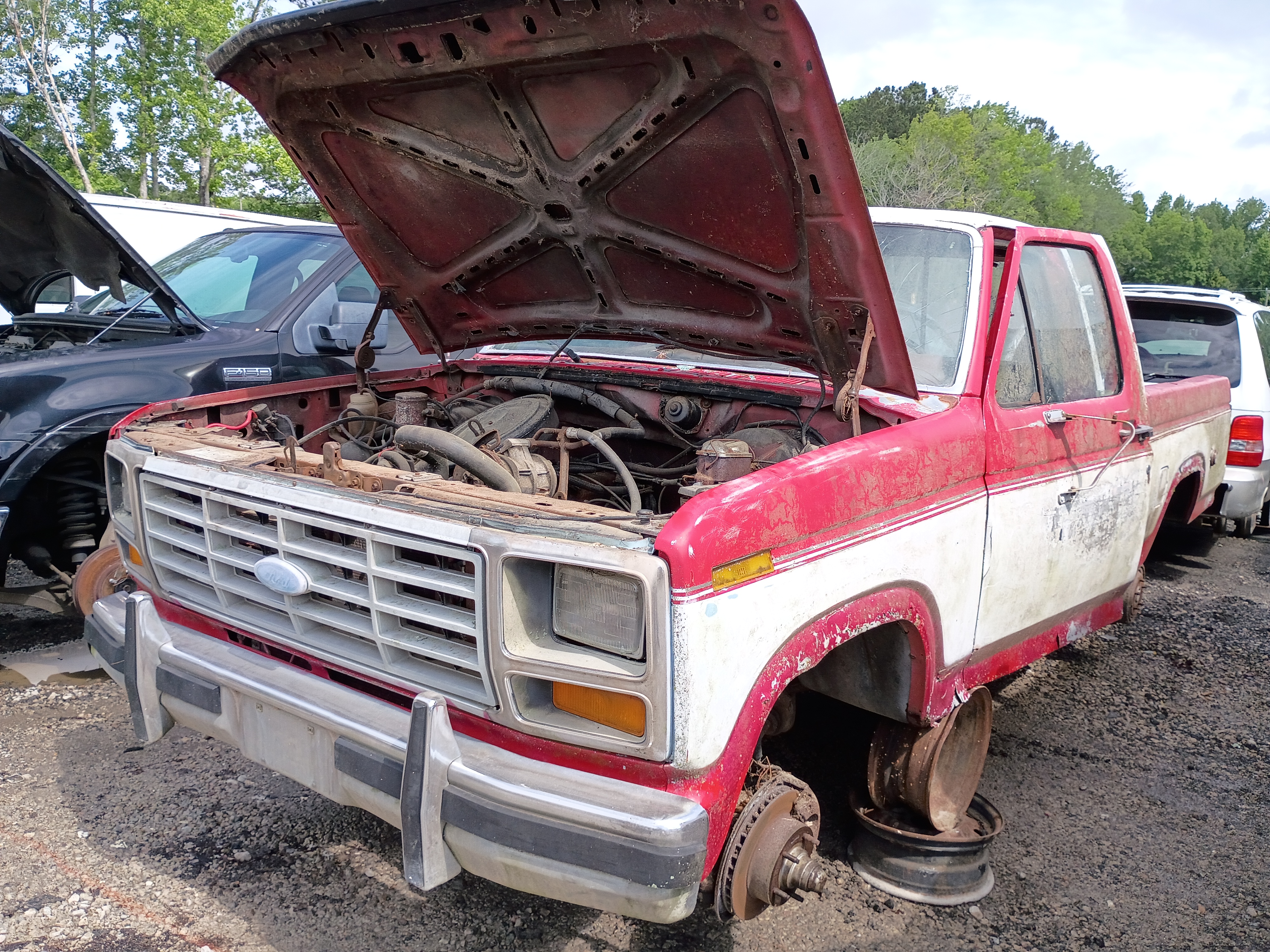 1984 FORD F-150
