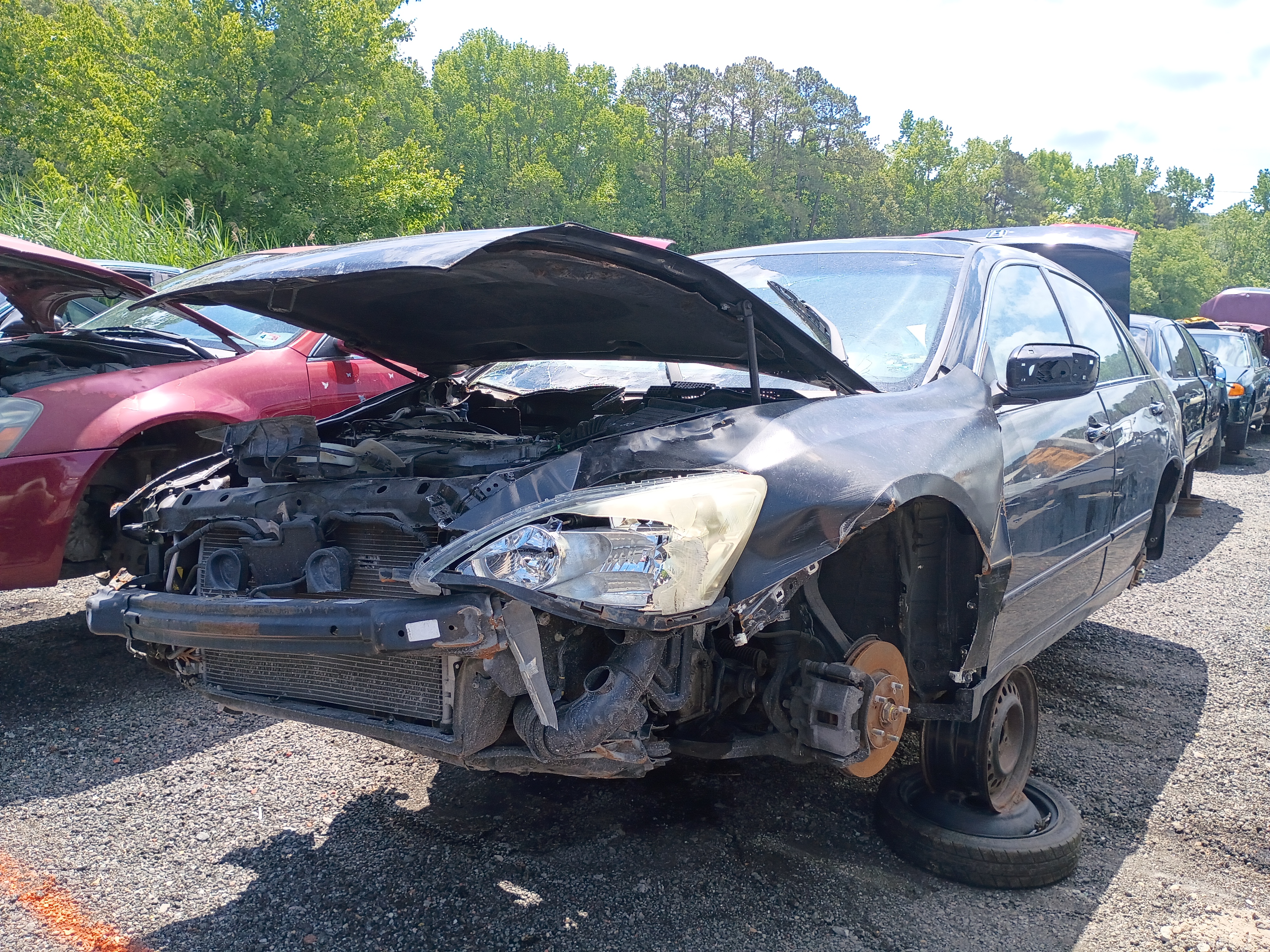 2005 HONDA Accord