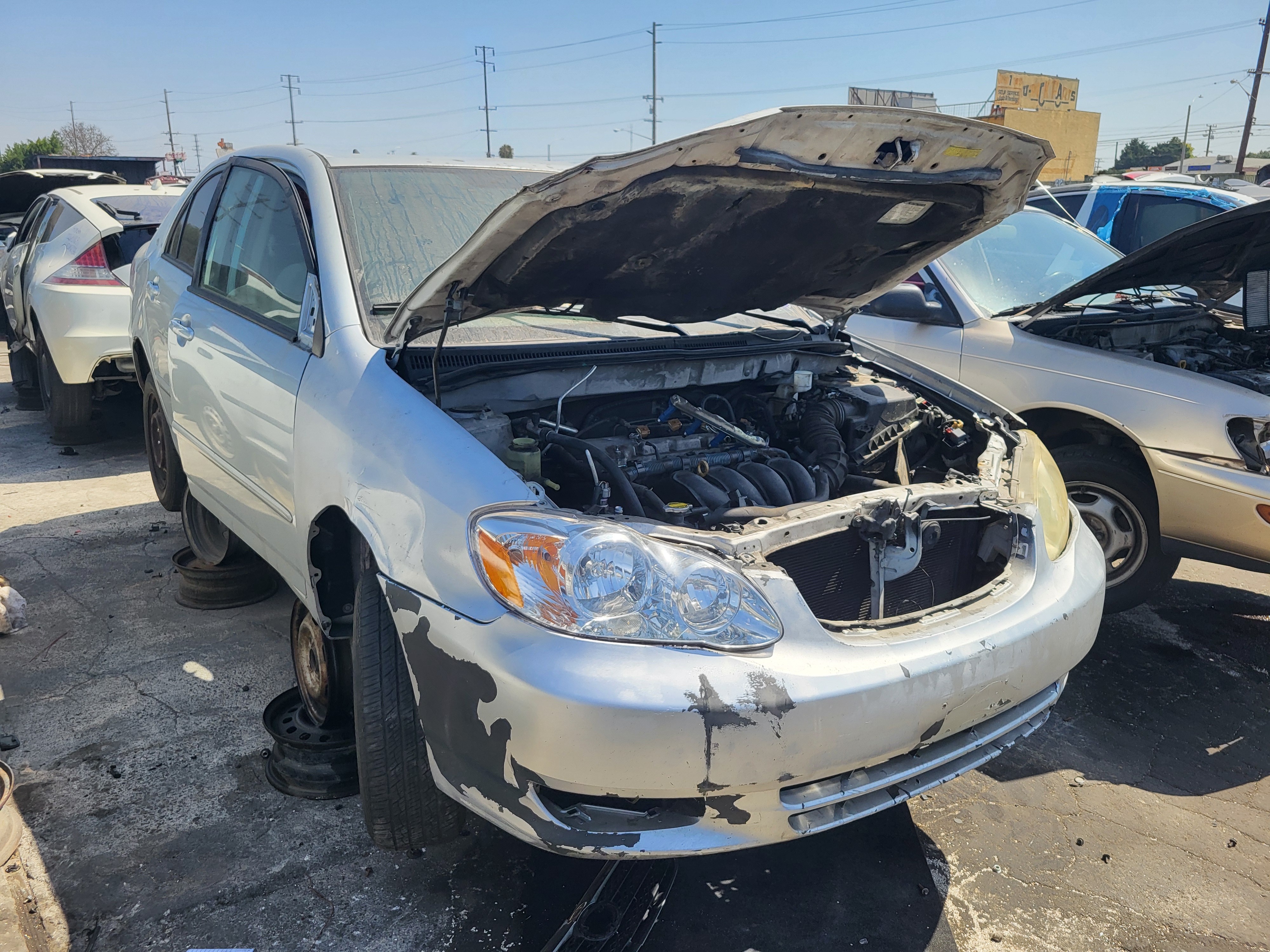 2007 TOYOTA Corolla