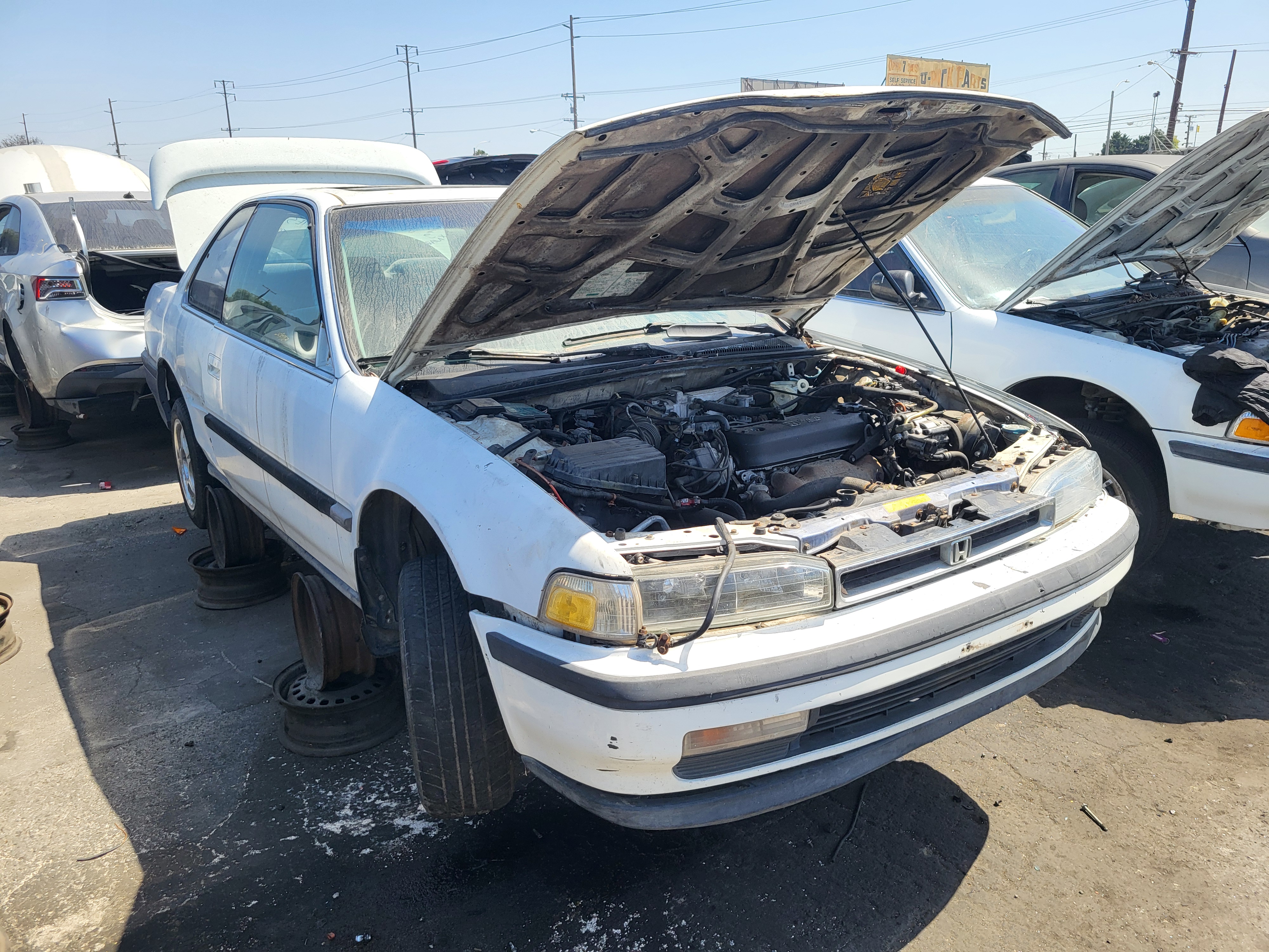 1991 HONDA Accord