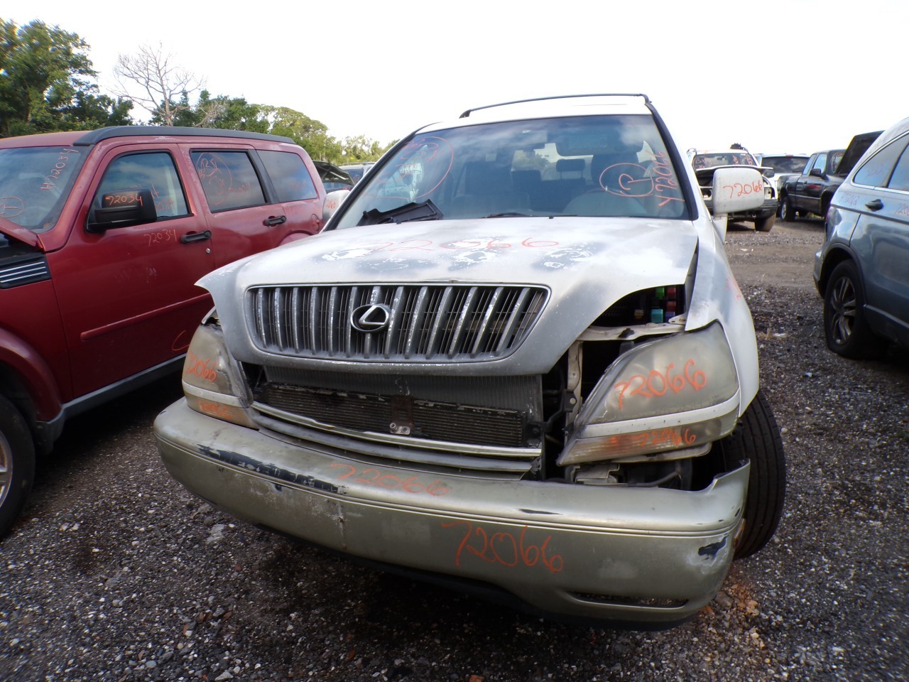 1999 LEXUS RX