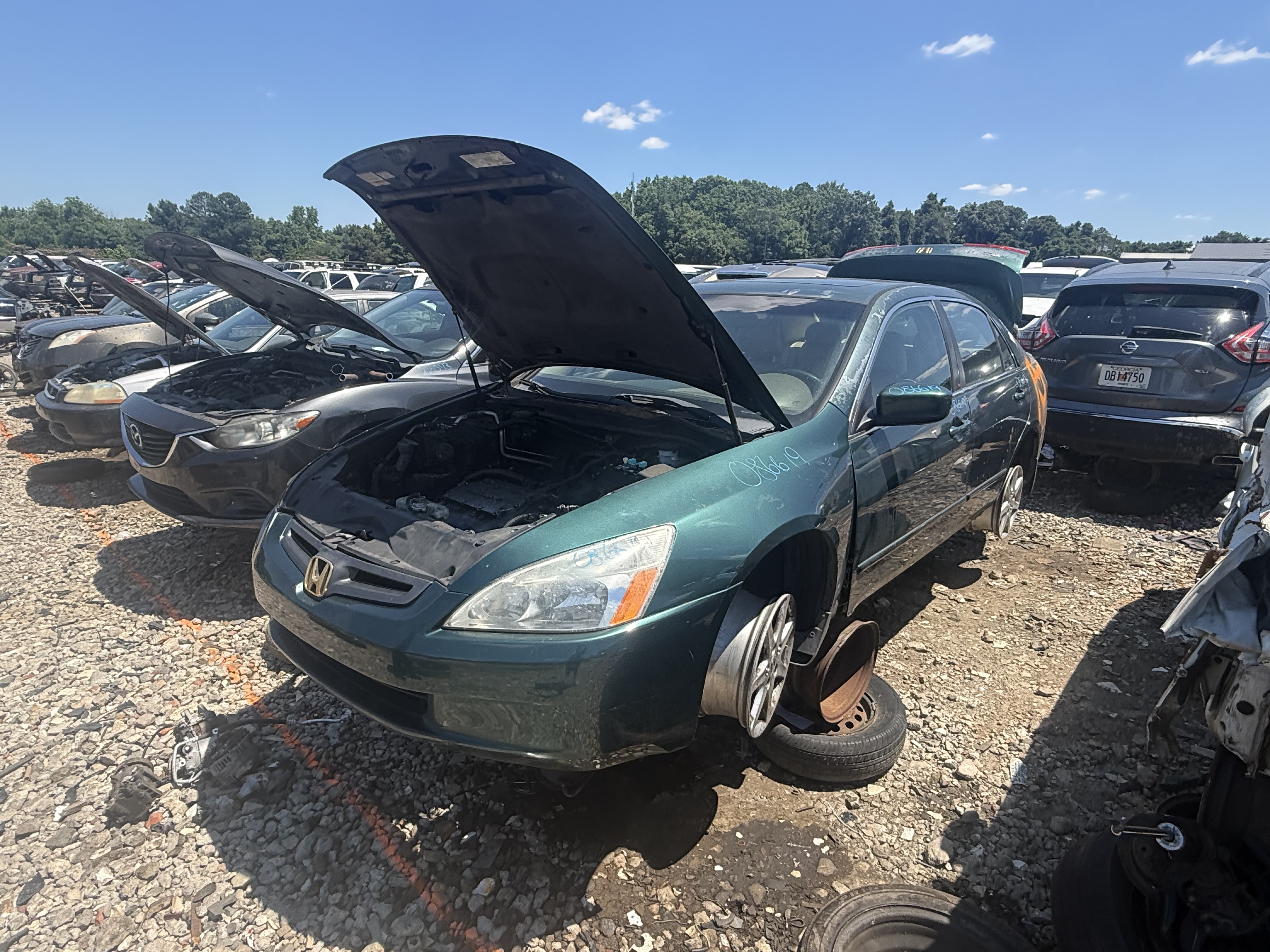 2003 HONDA Accord