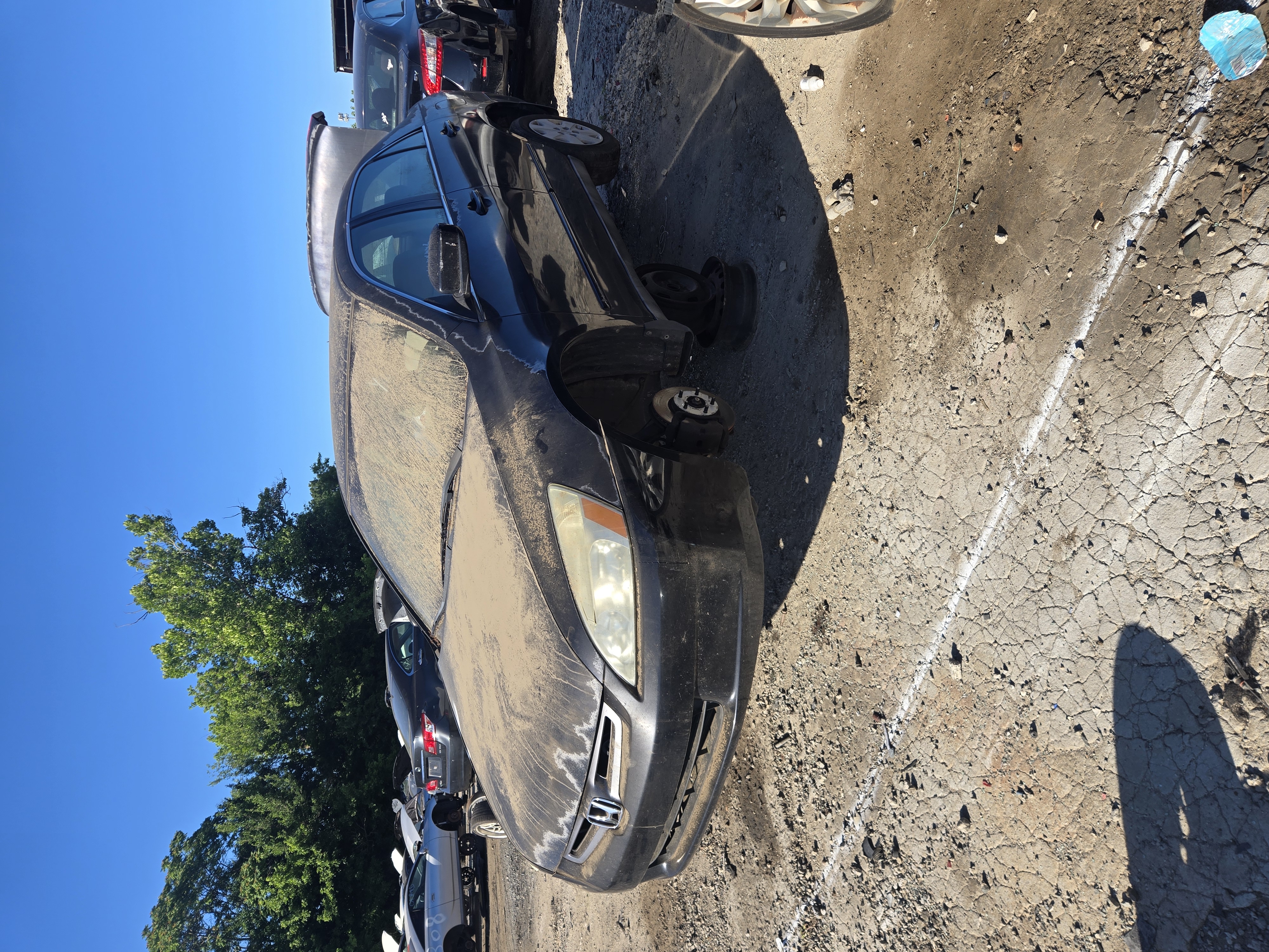 2004 HONDA Accord