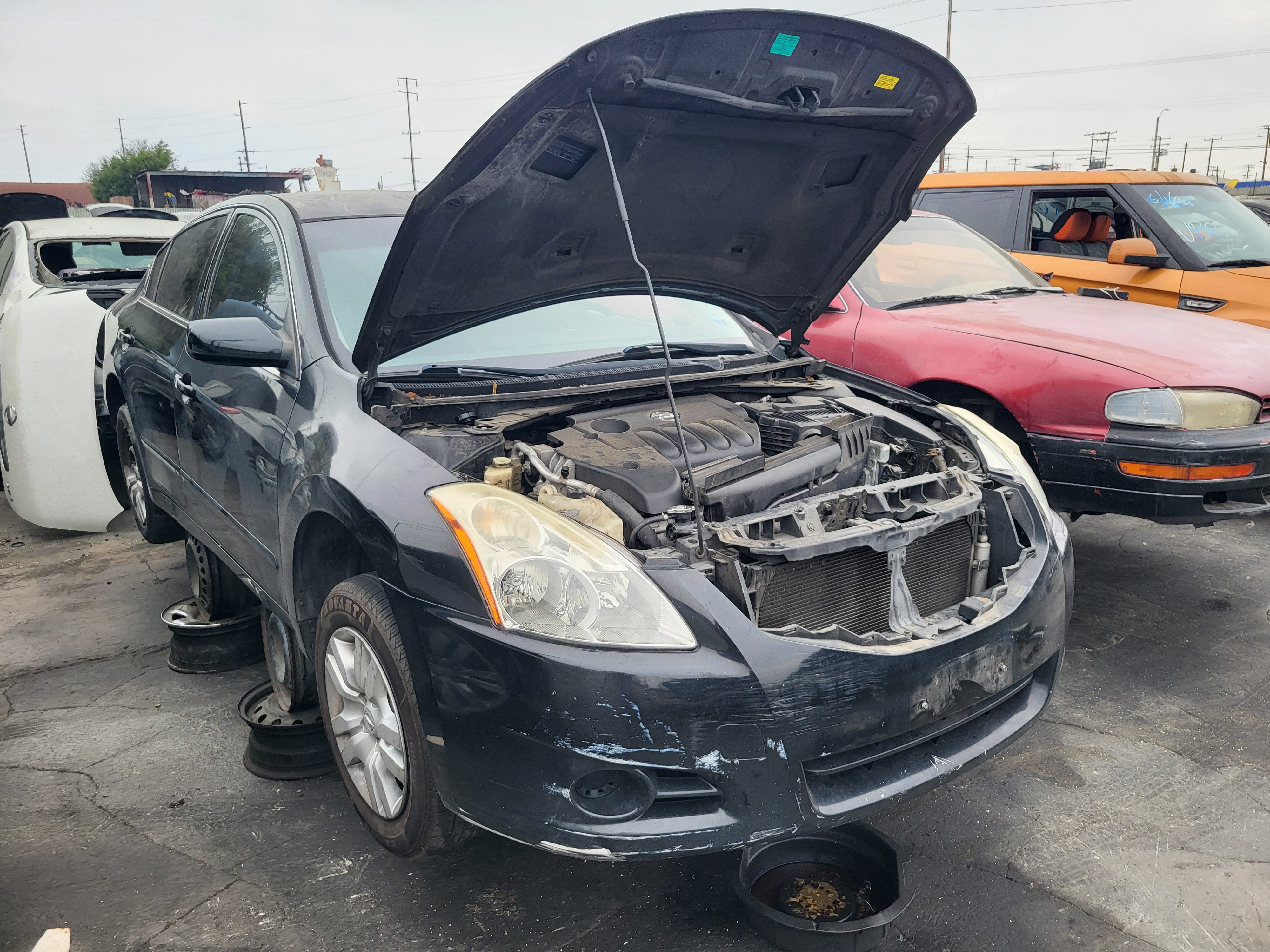 2010 NISSAN Altima