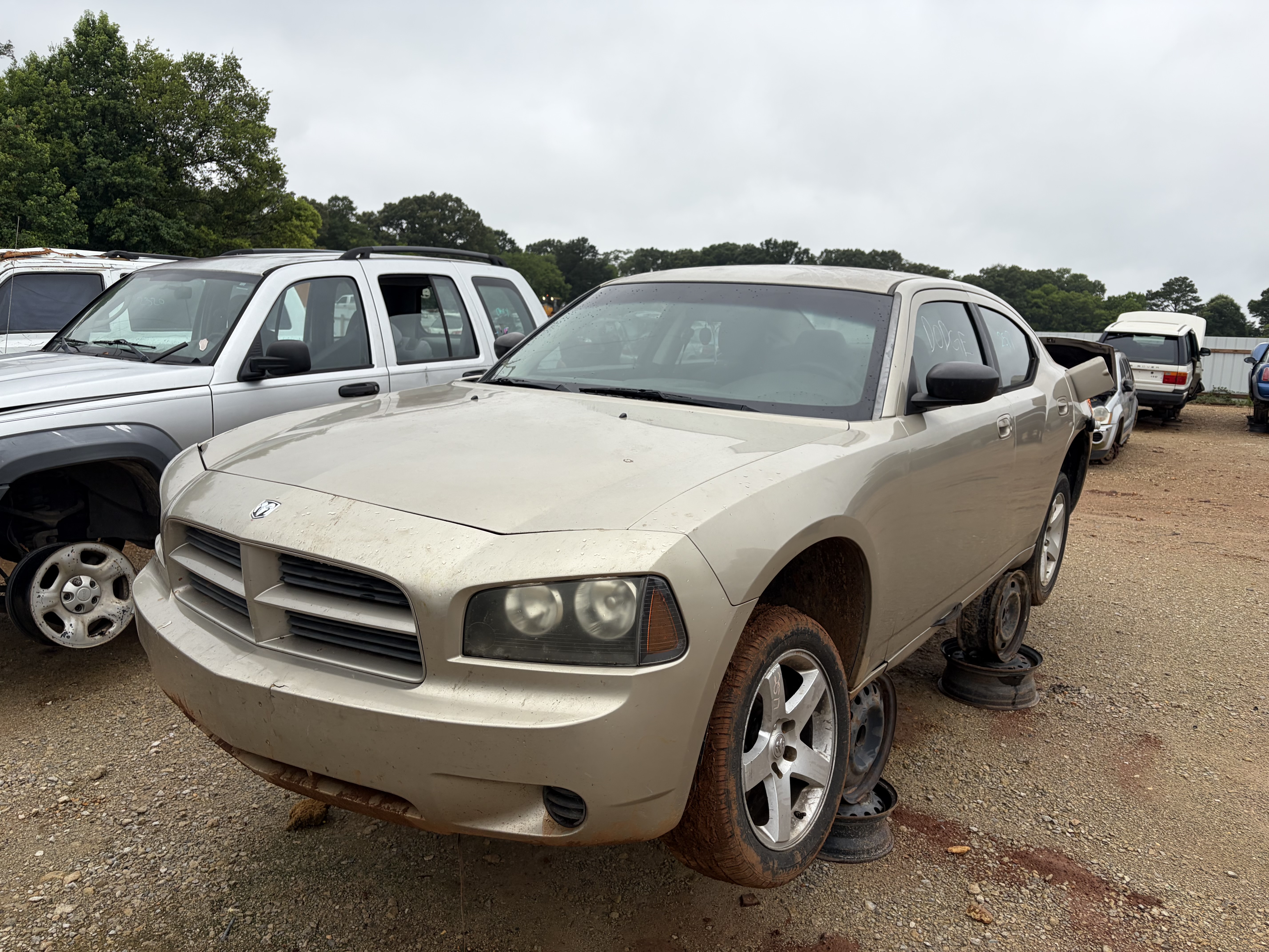 2009 DODGE Charger