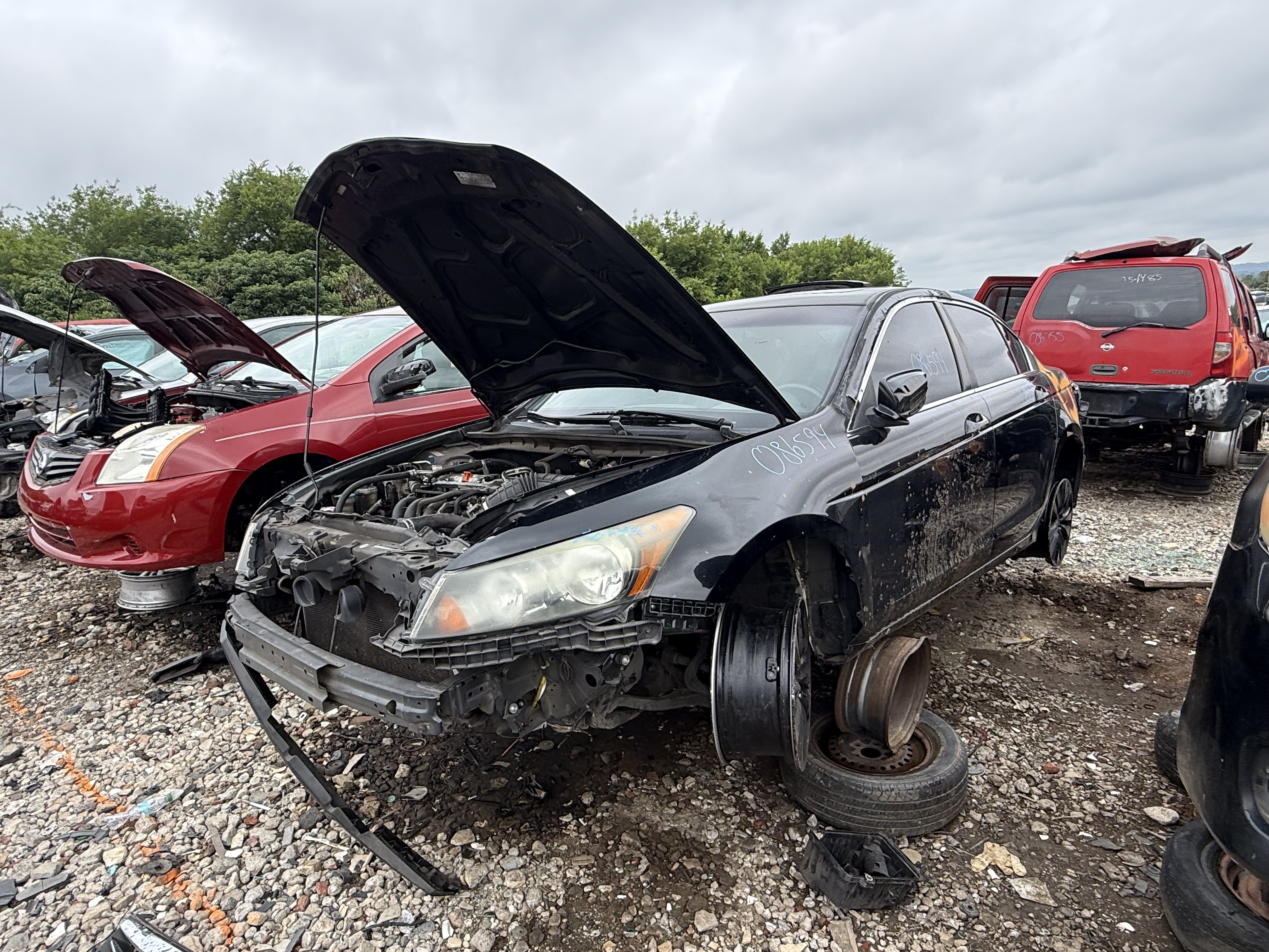 2011 HONDA Accord