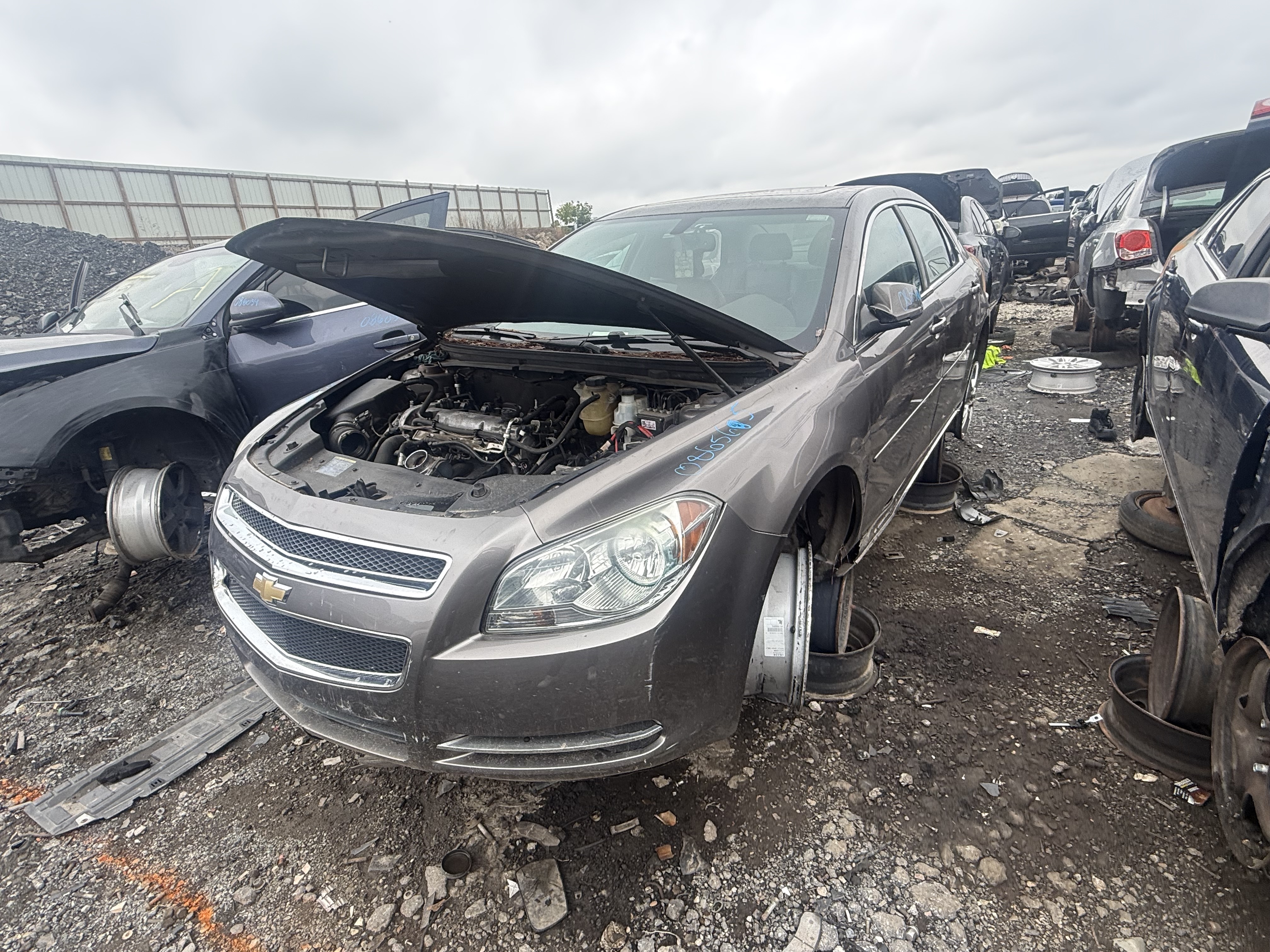2010 CHEVROLET Malibu