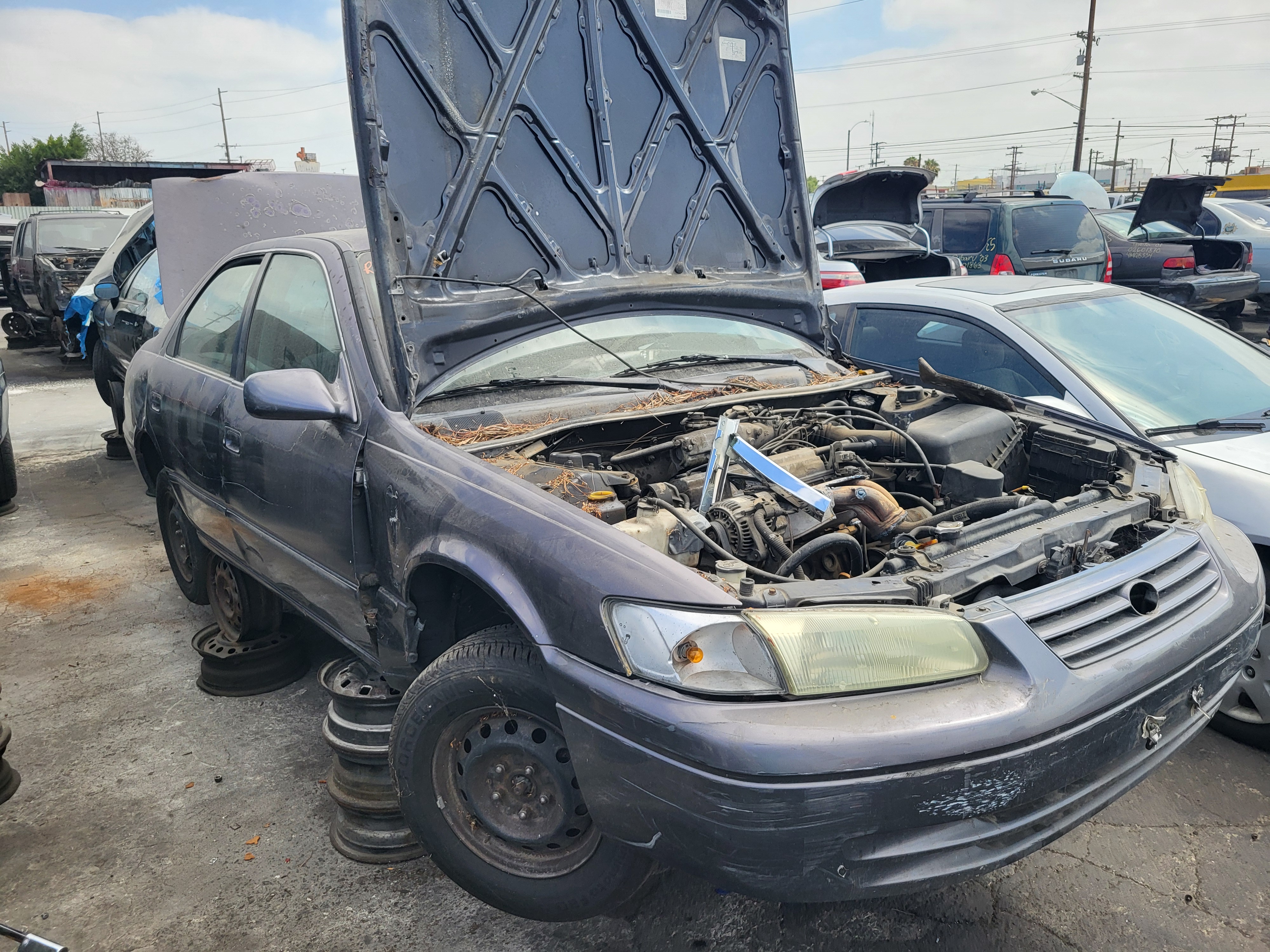 1999 TOYOTA Camry