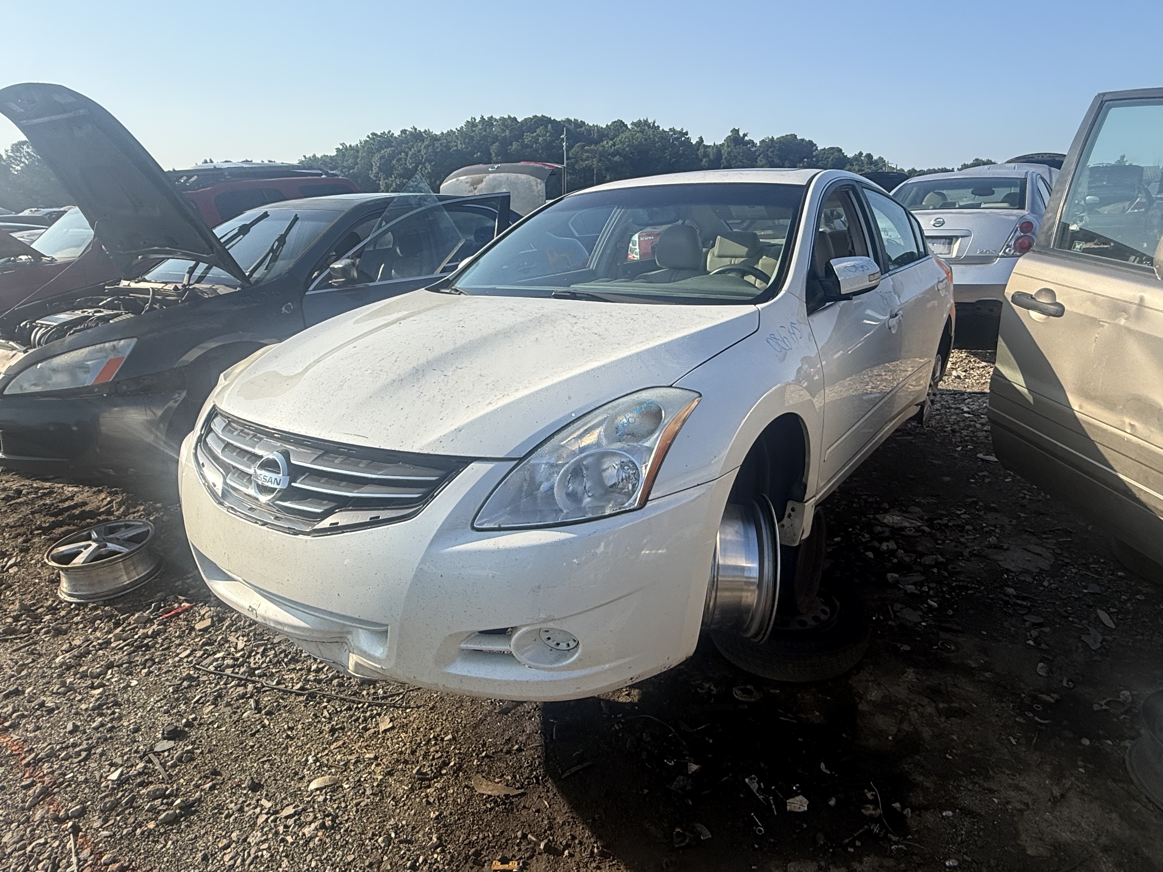 2010 NISSAN Altima