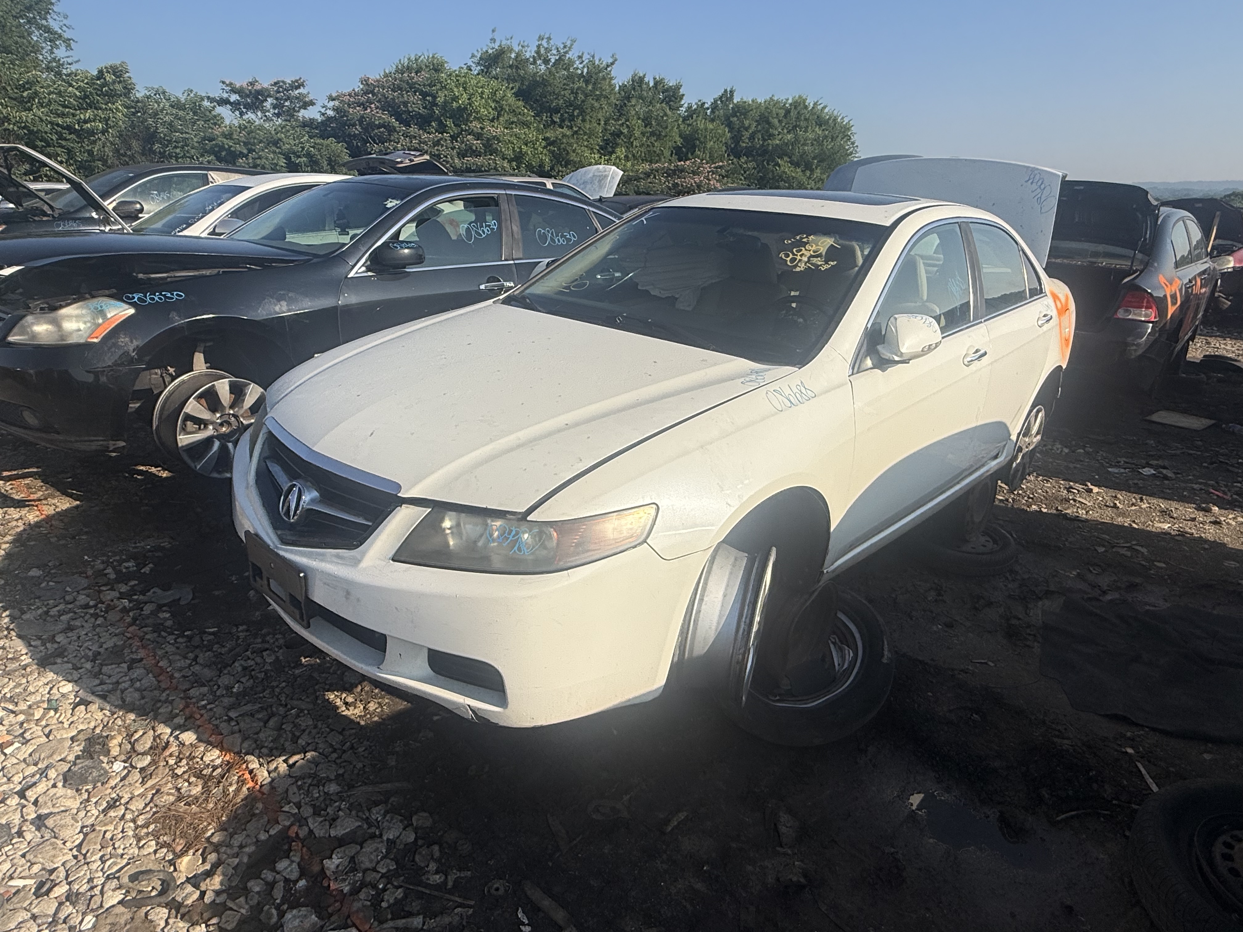 2005 ACURA Tsx