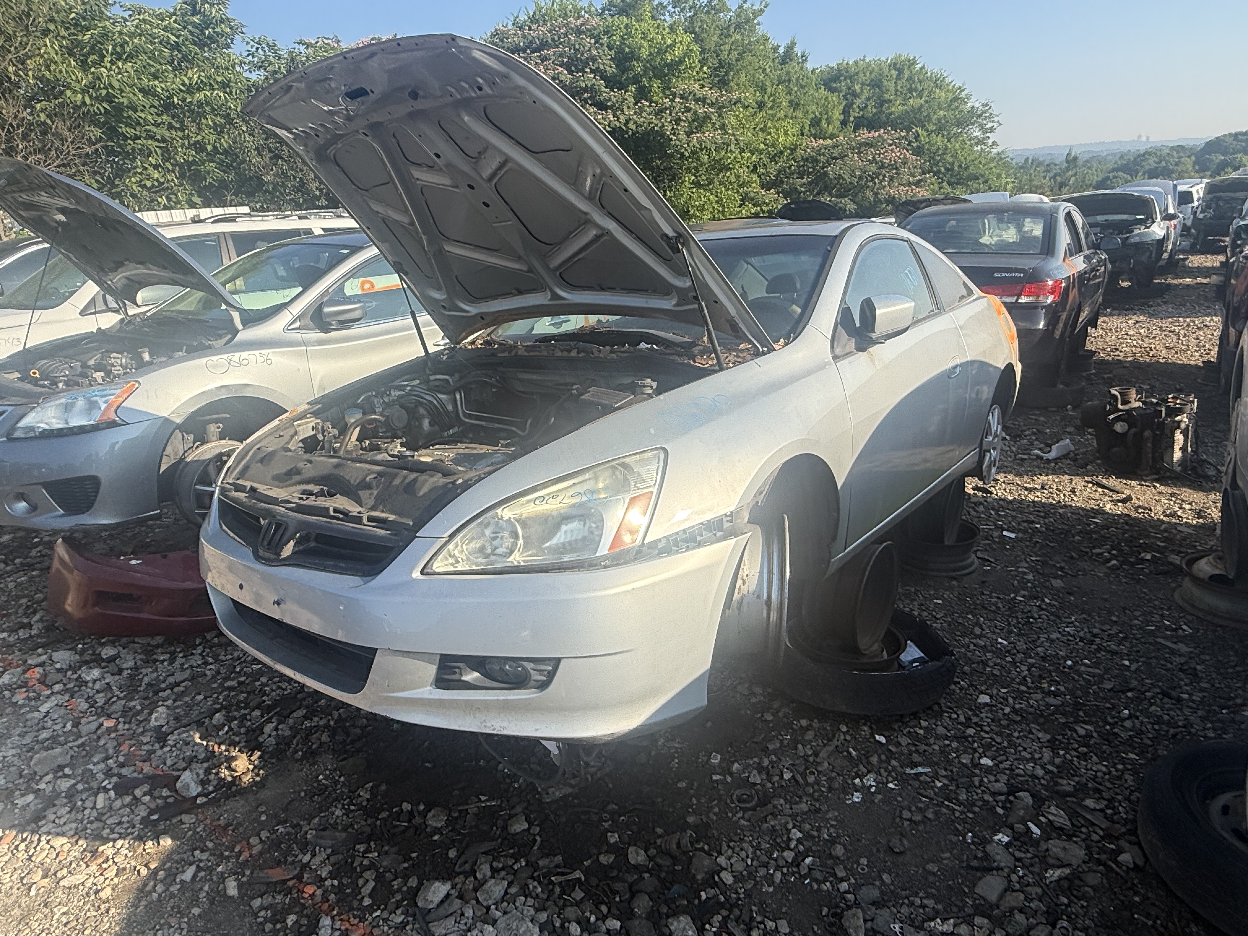 2005 HONDA Accord
