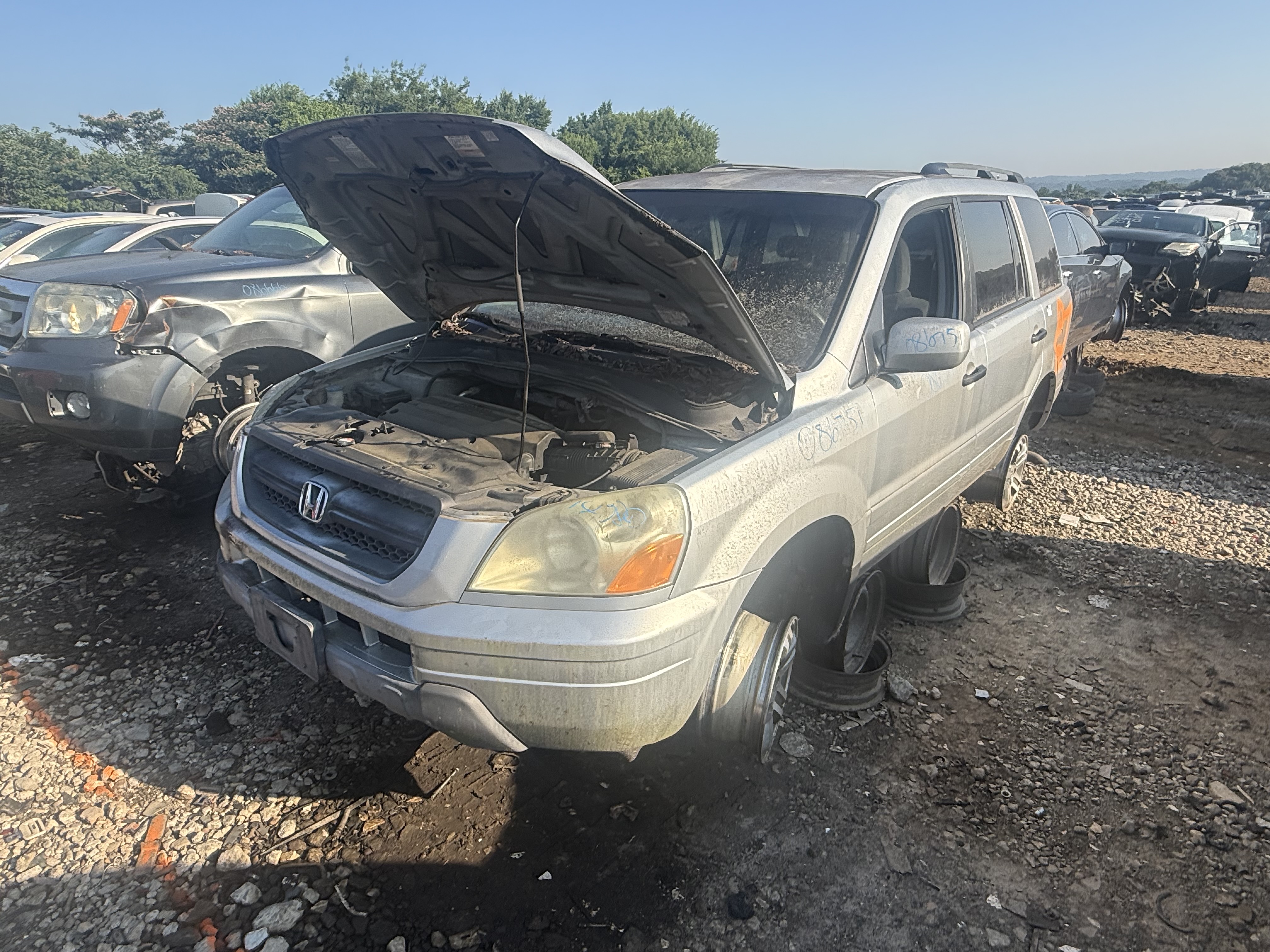 2004 HONDA Pilot