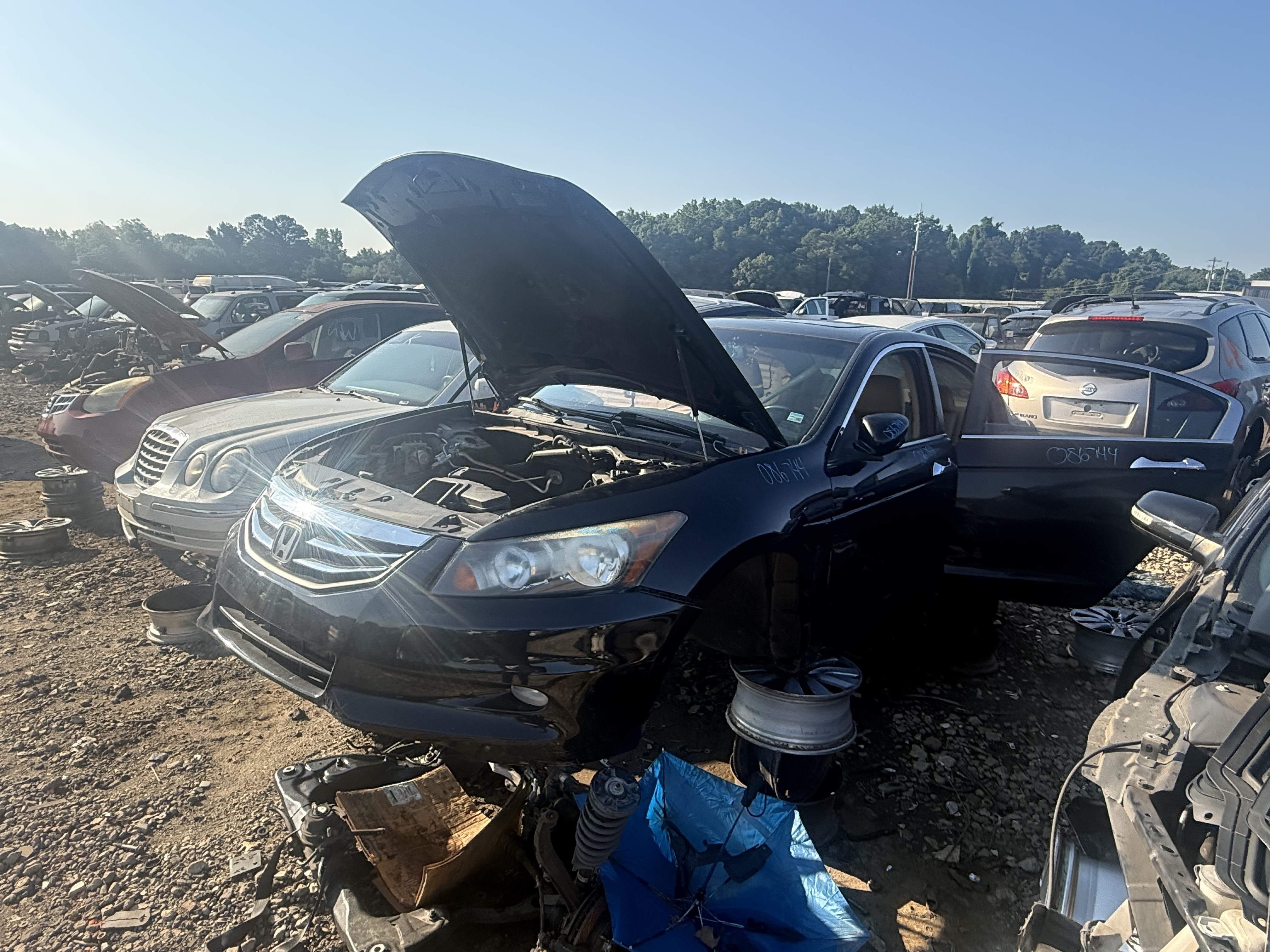 2011 HONDA Accord