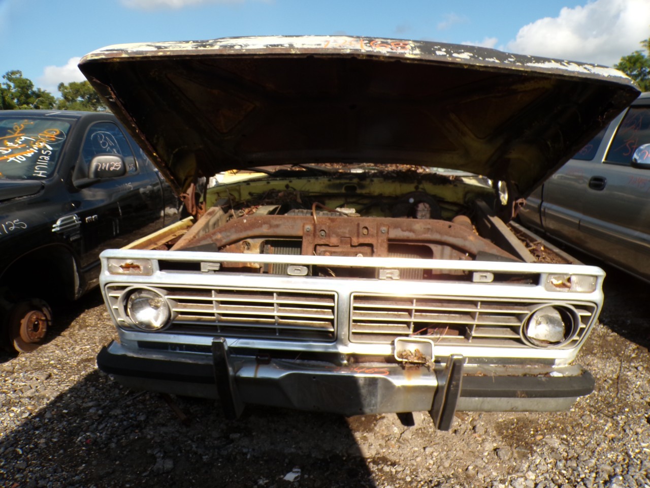 1973 OTHER (NOT LISTED) Other (Not Listed)