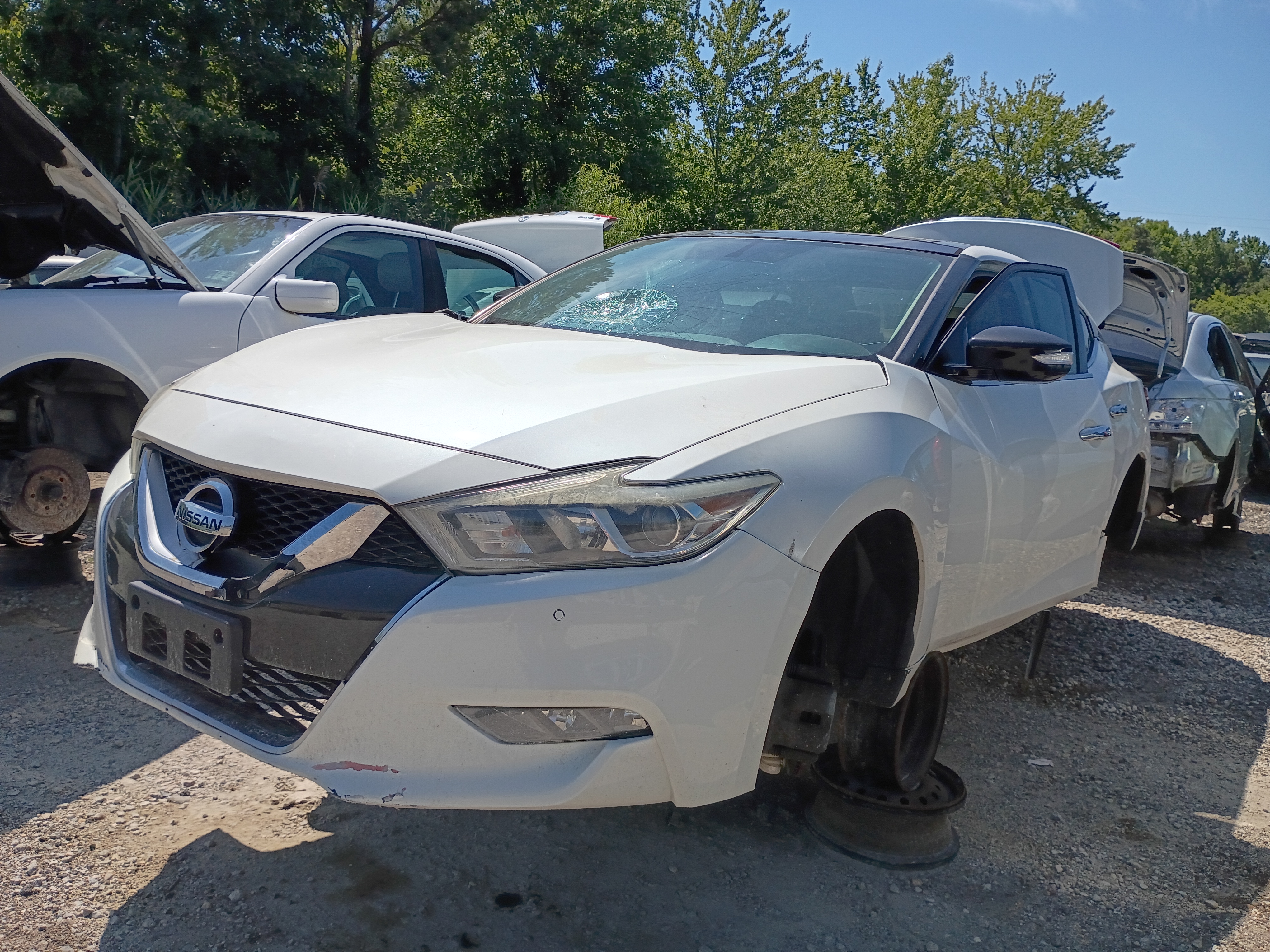 2016 NISSAN Maxima