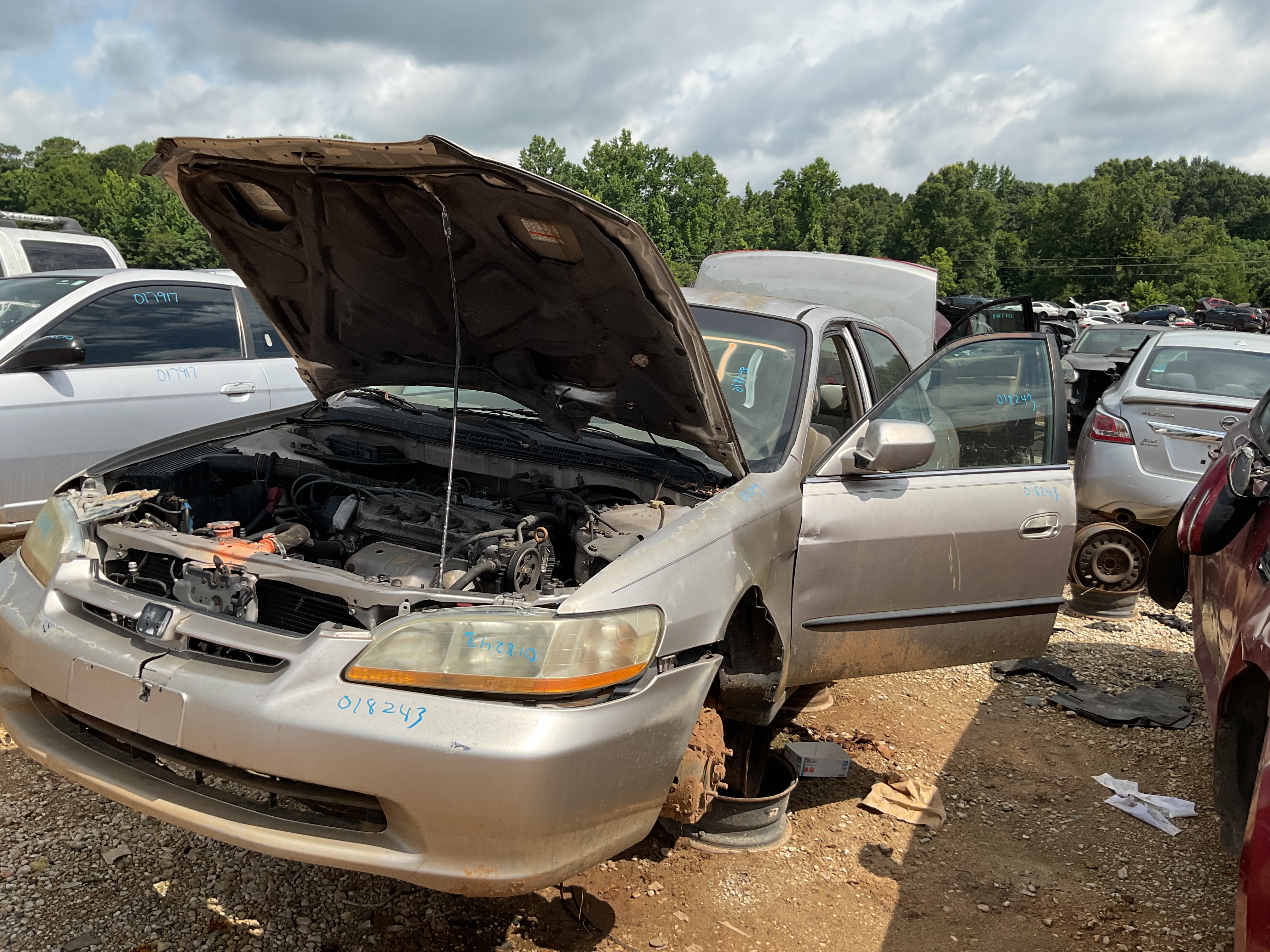 1999 HONDA Accord