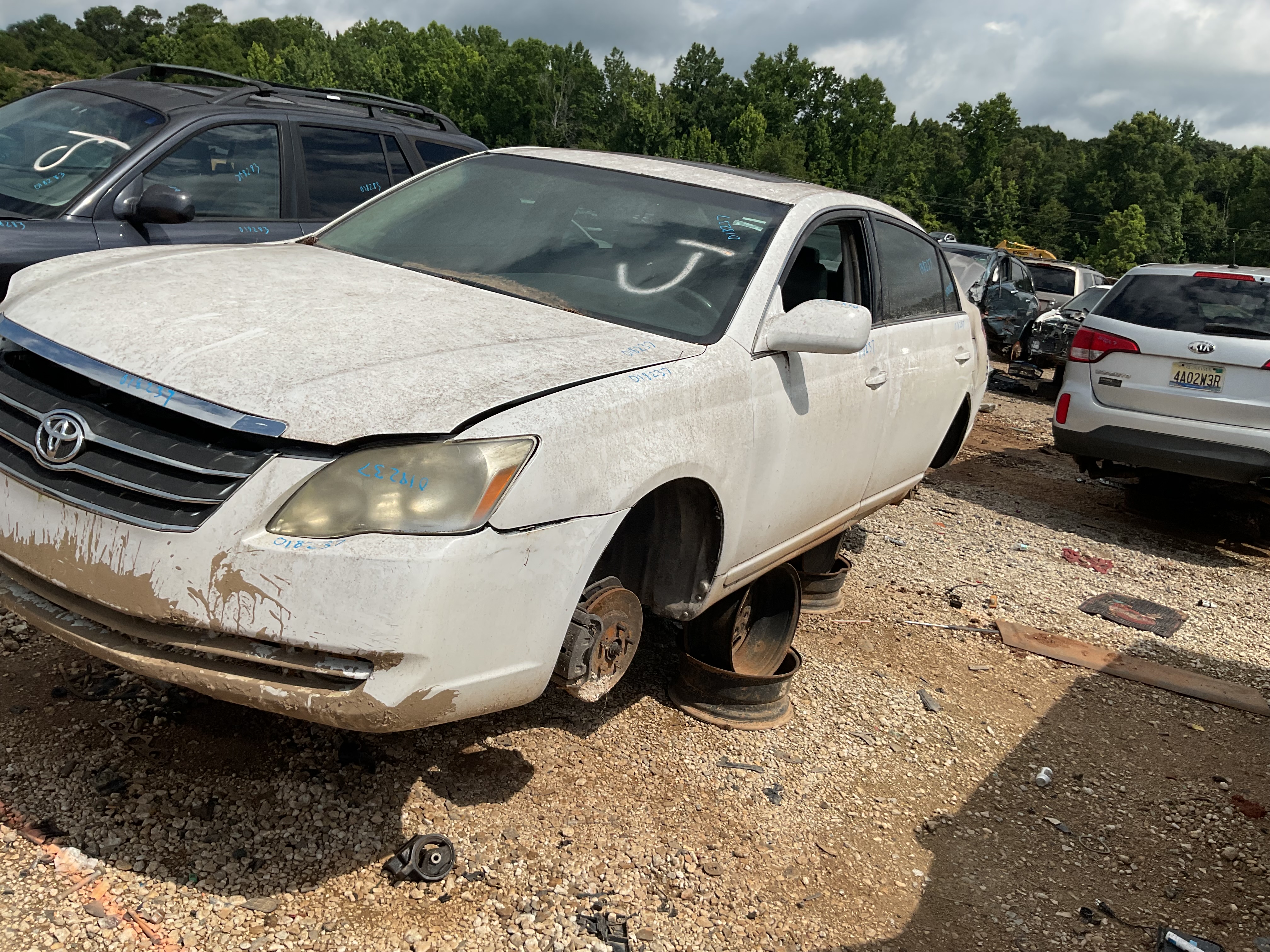 2007 TOYOTA Avalon