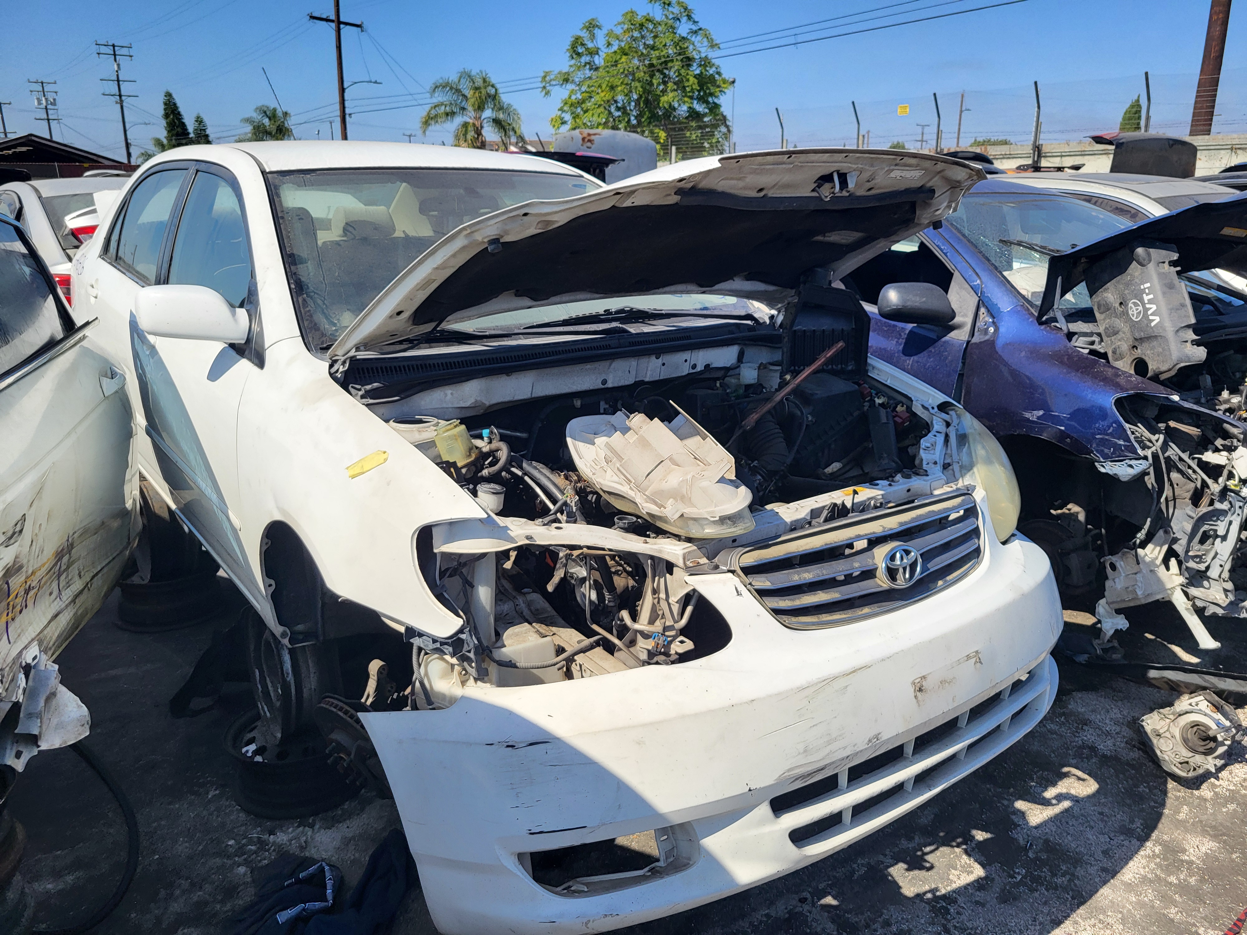 2003 TOYOTA Corolla