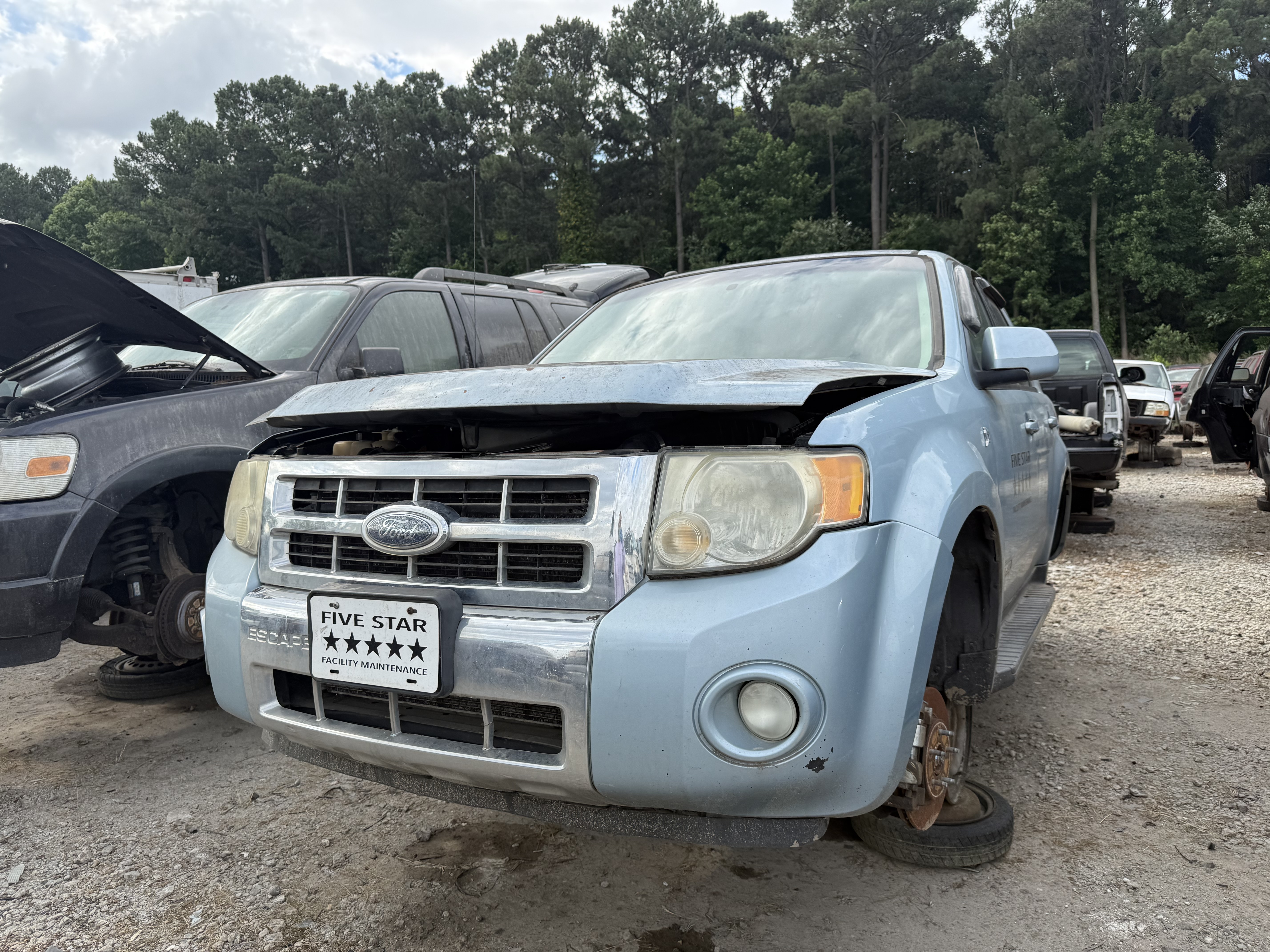 2008 FORD Escape