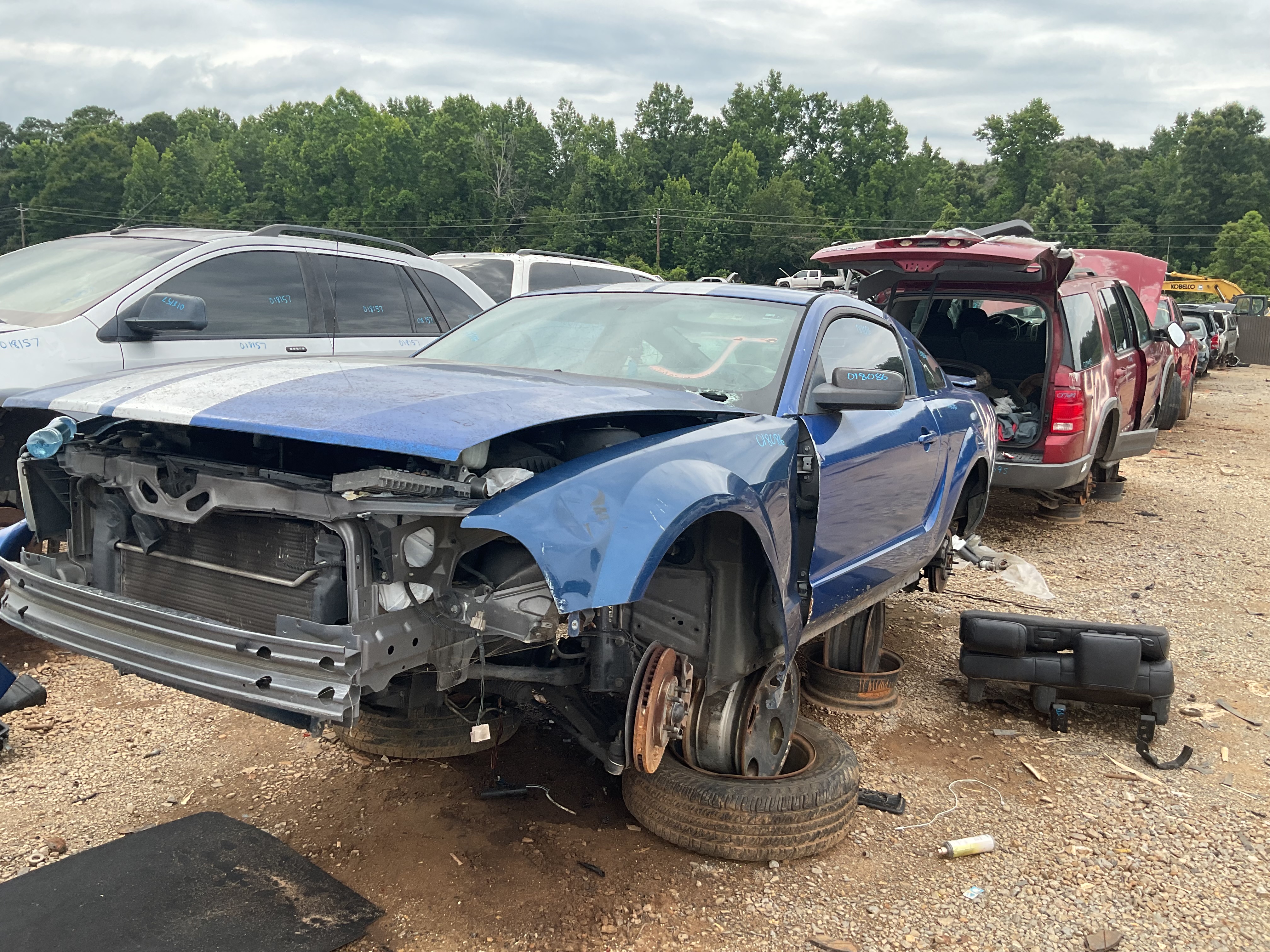 2007 FORD Mustang