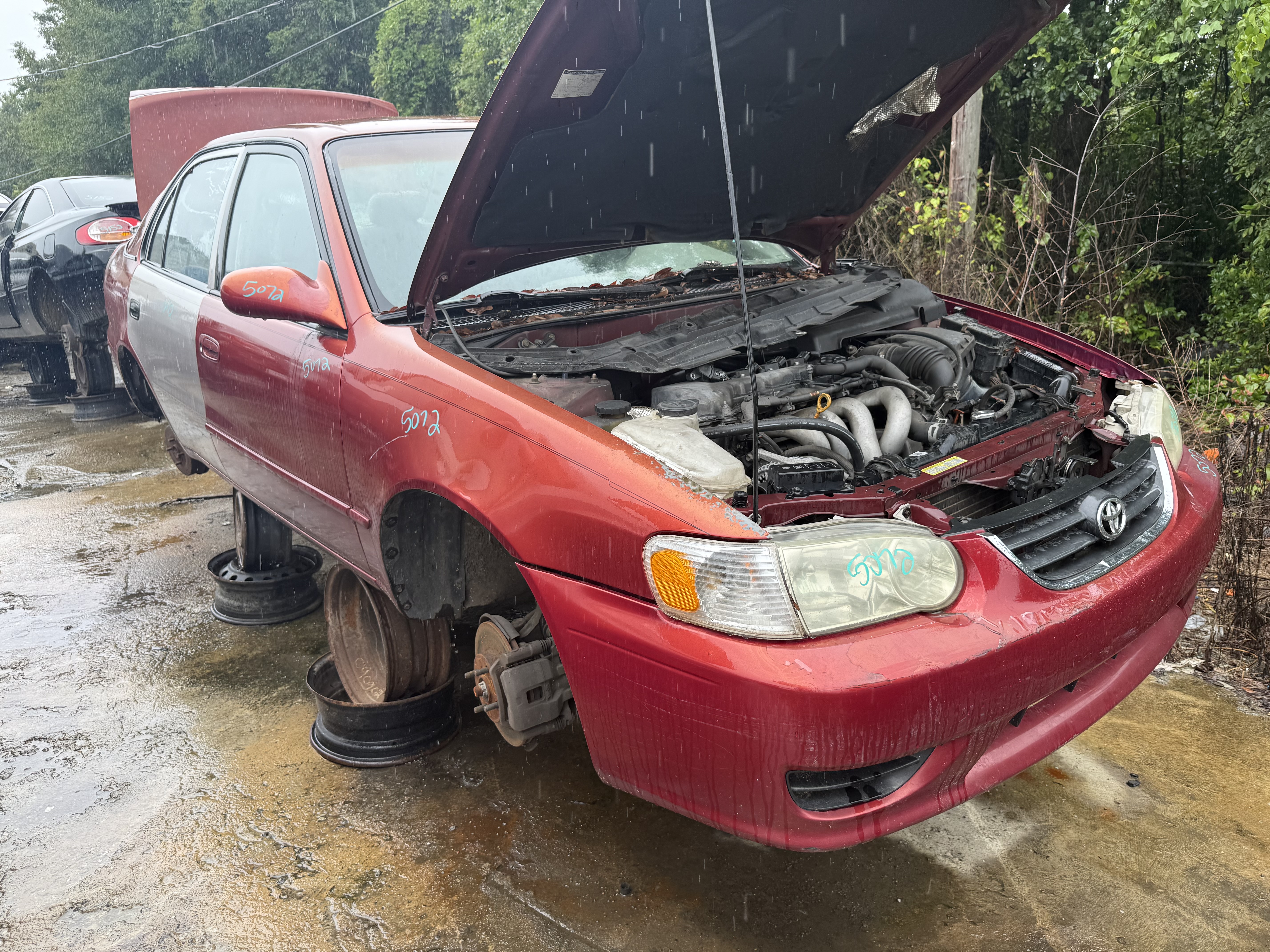 2001 TOYOTA Corolla