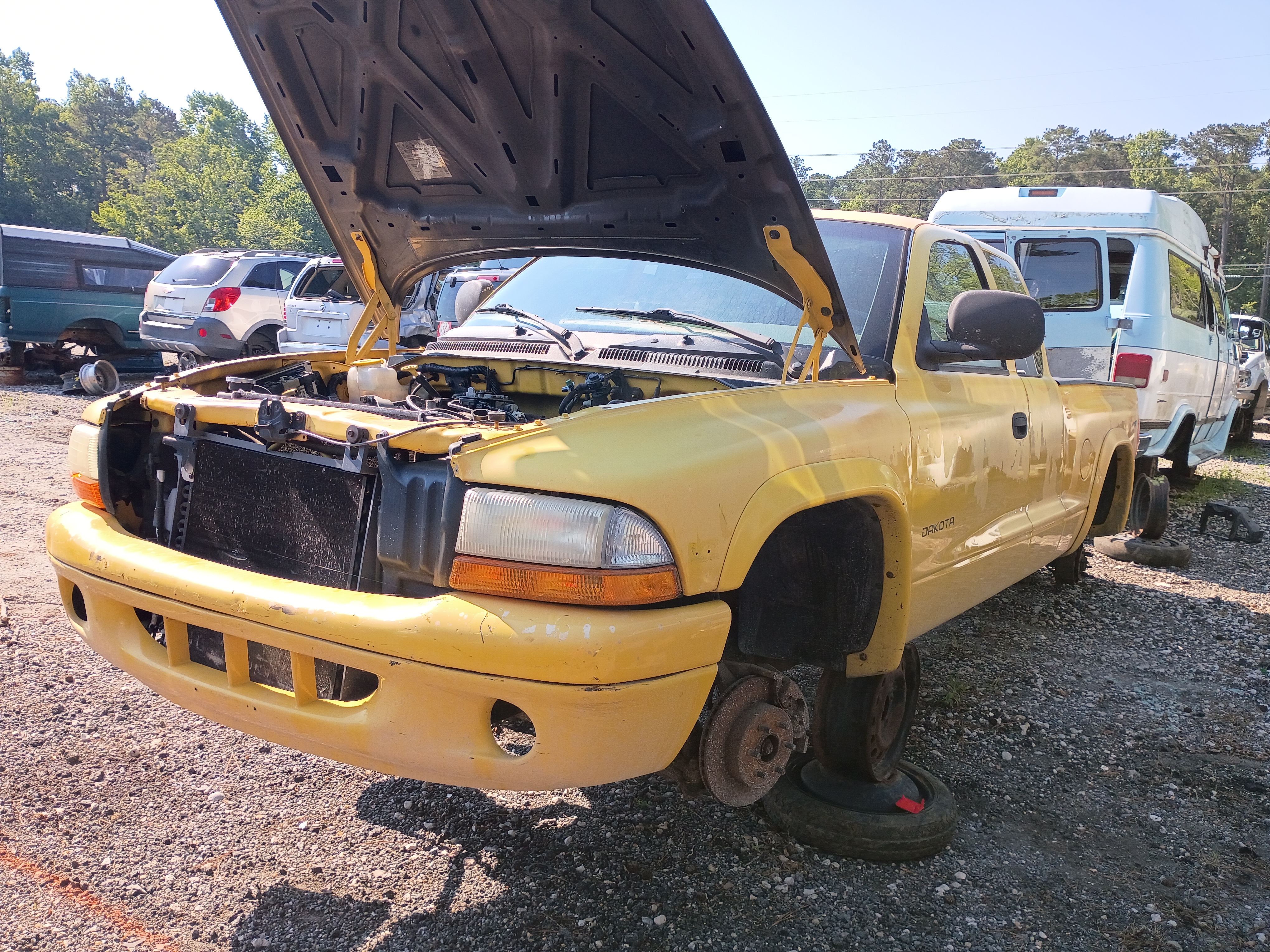 1999 DODGE Dakota