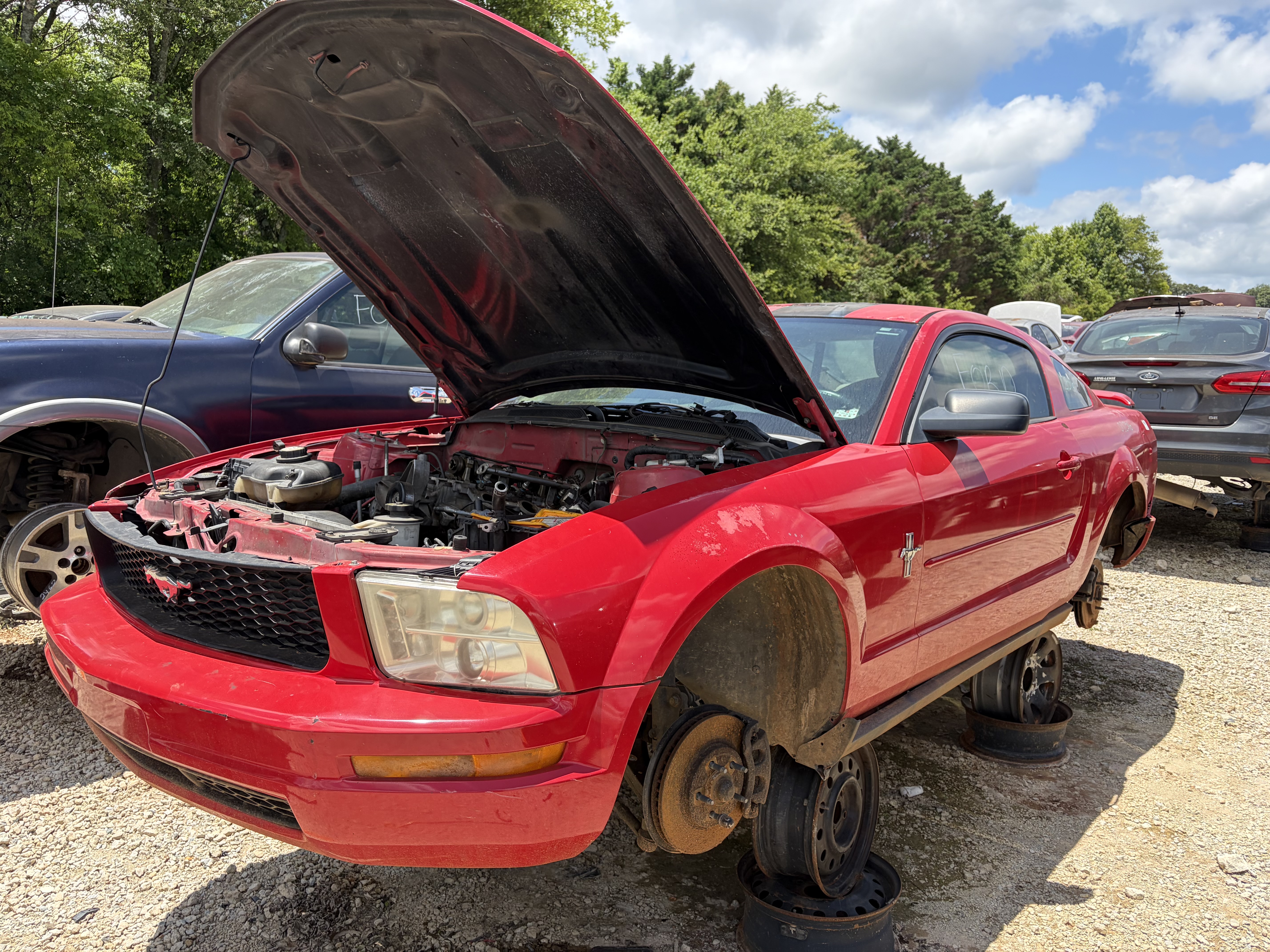 2006 FORD Mustang