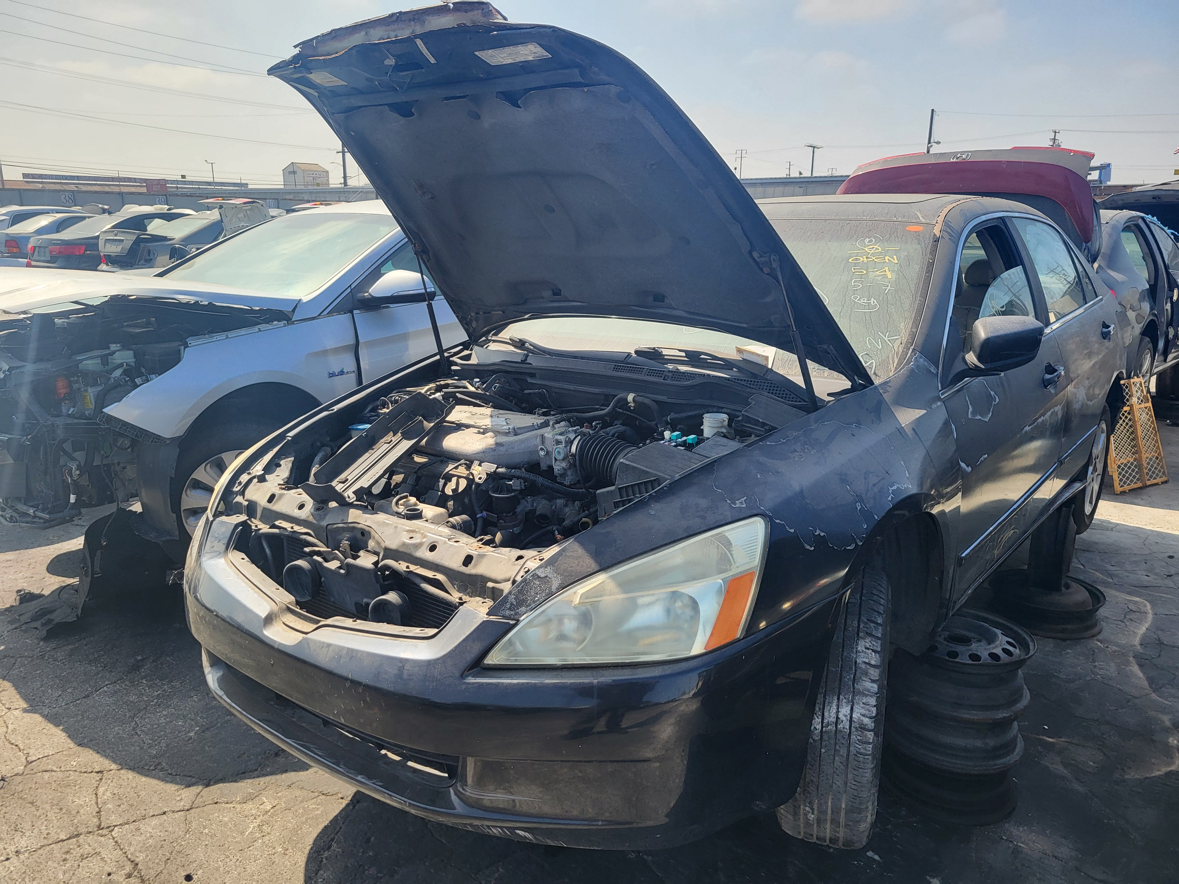 2004 HONDA Accord