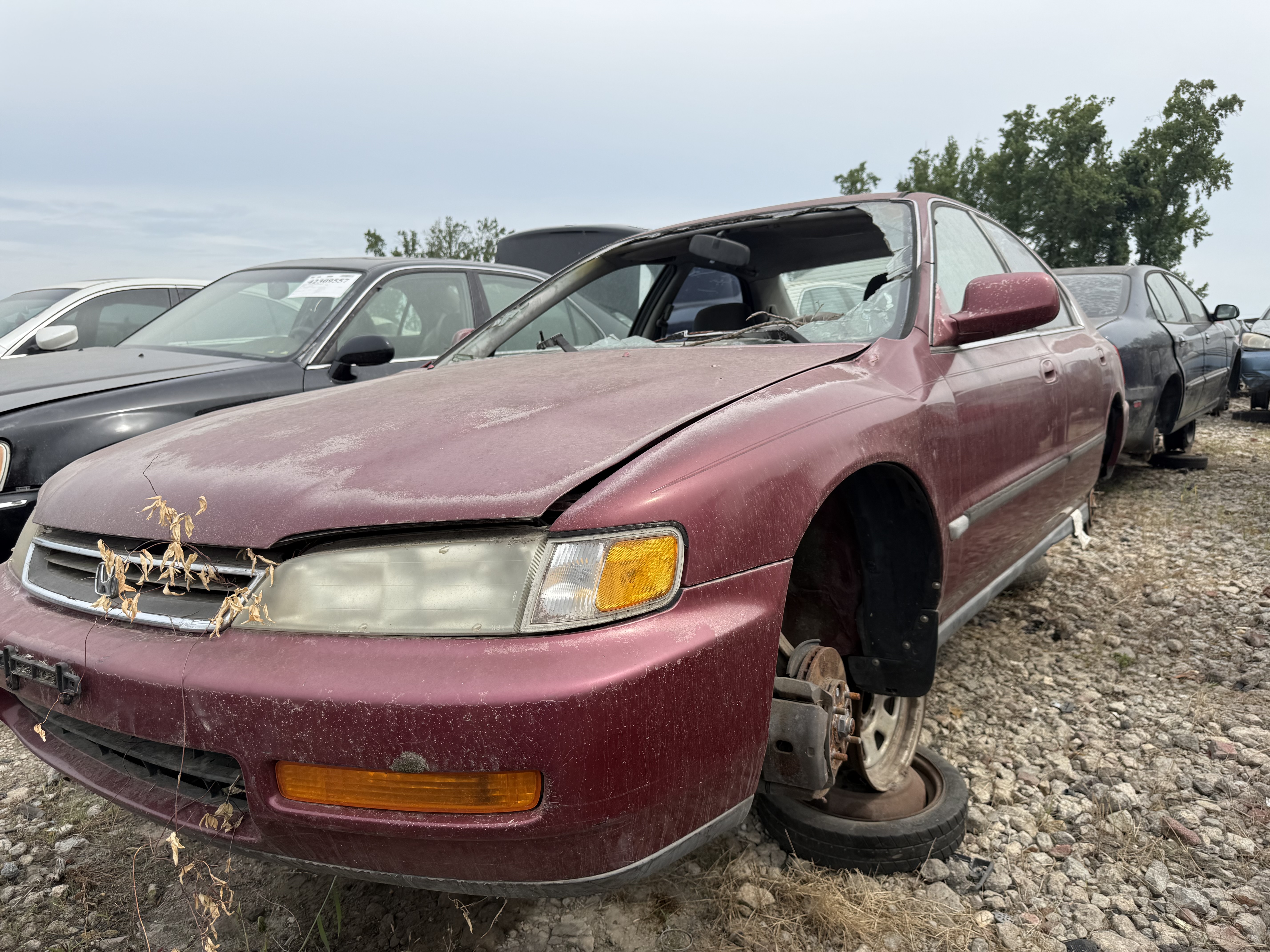 1996 HONDA Accord