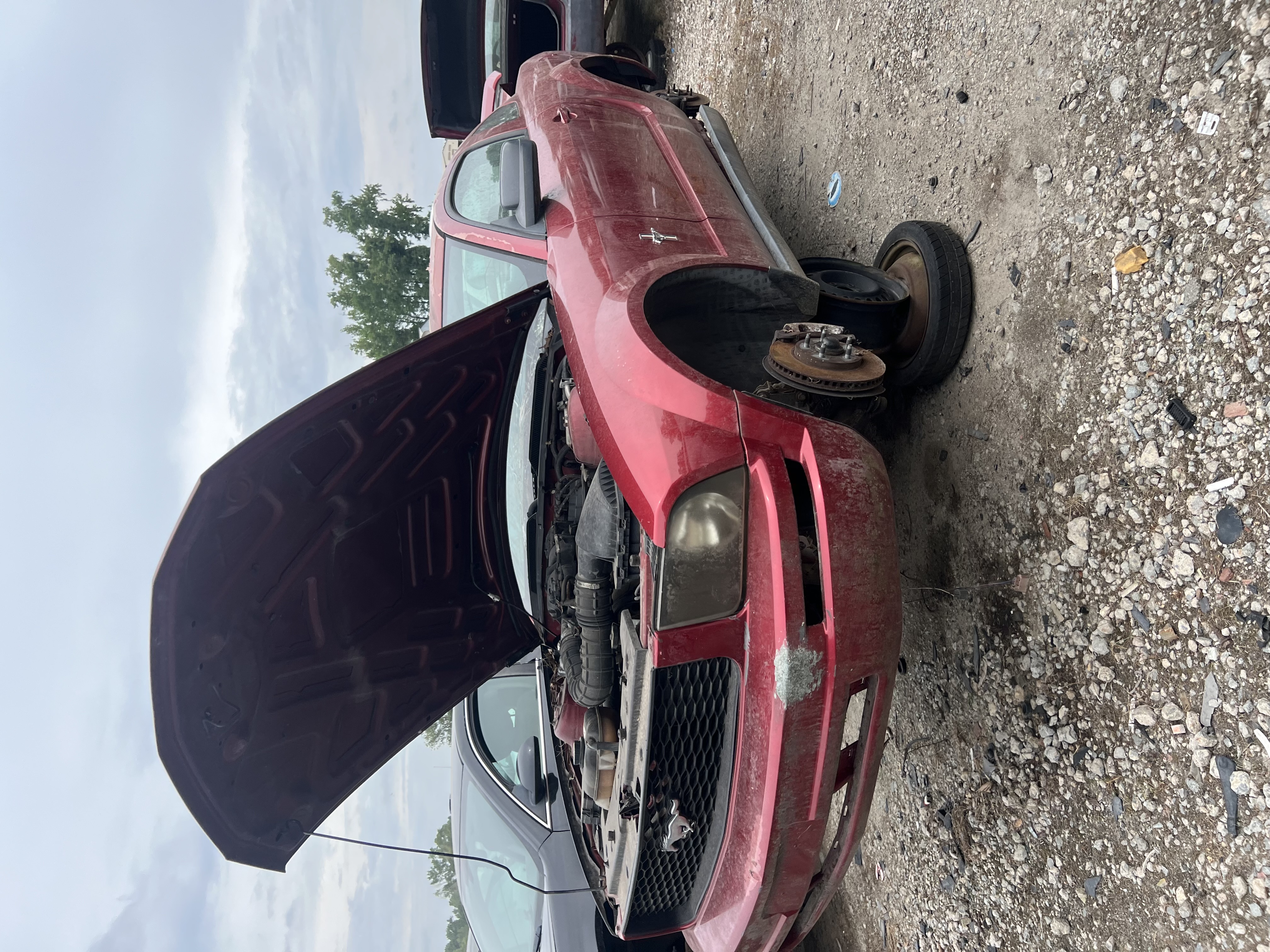 2006 FORD Mustang