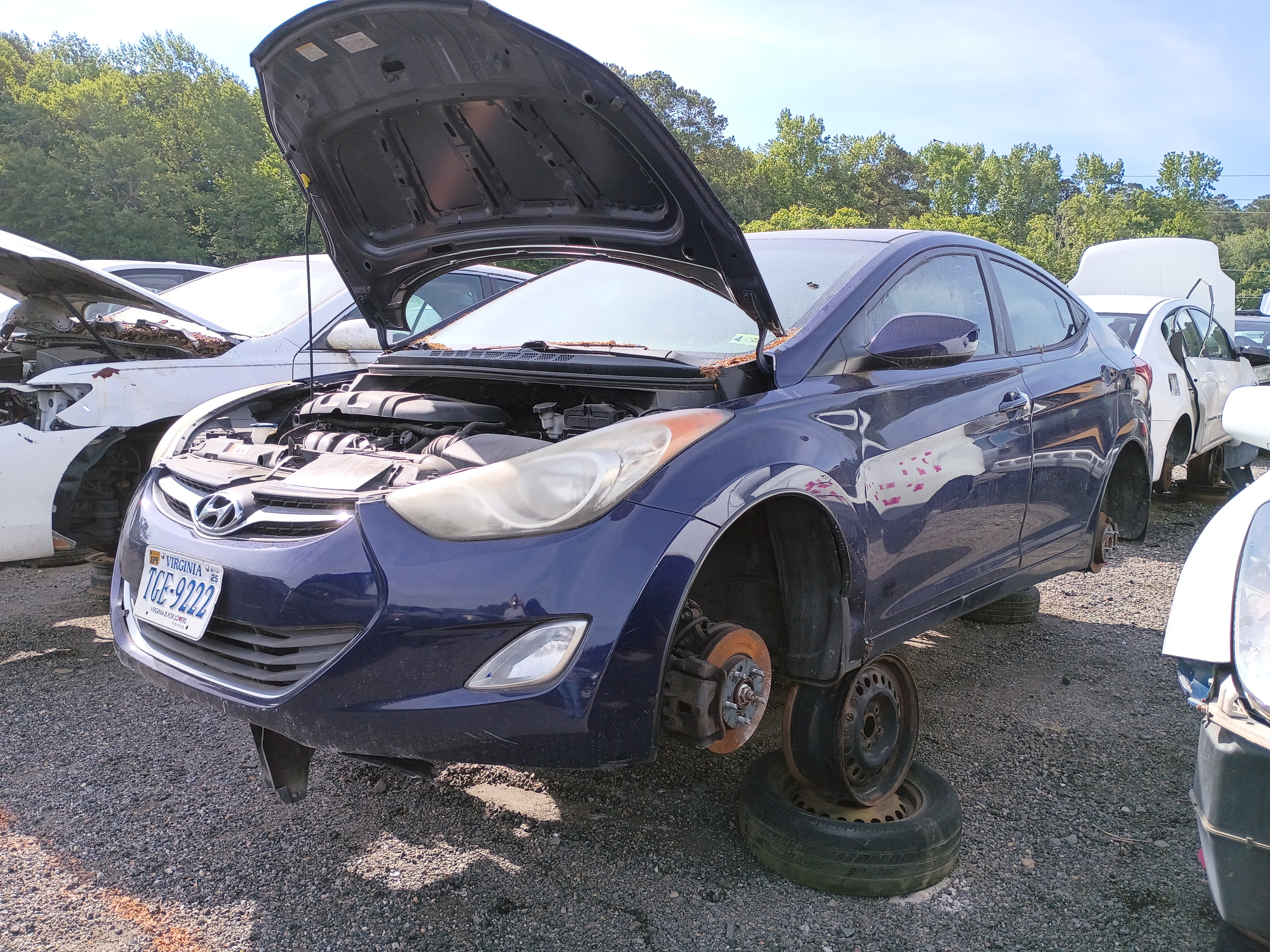 2013 HYUNDAI Elantra