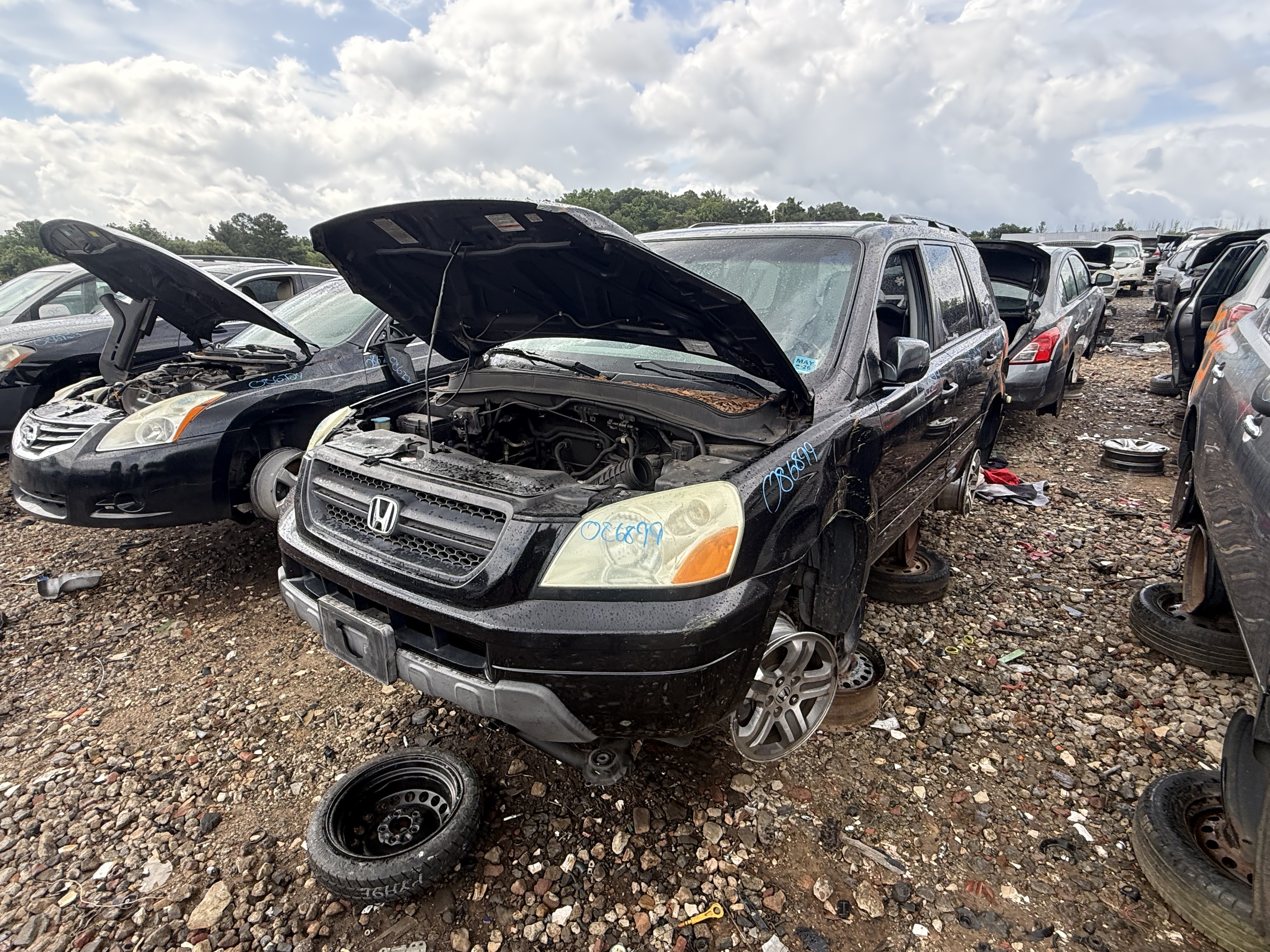 2005 HONDA Pilot