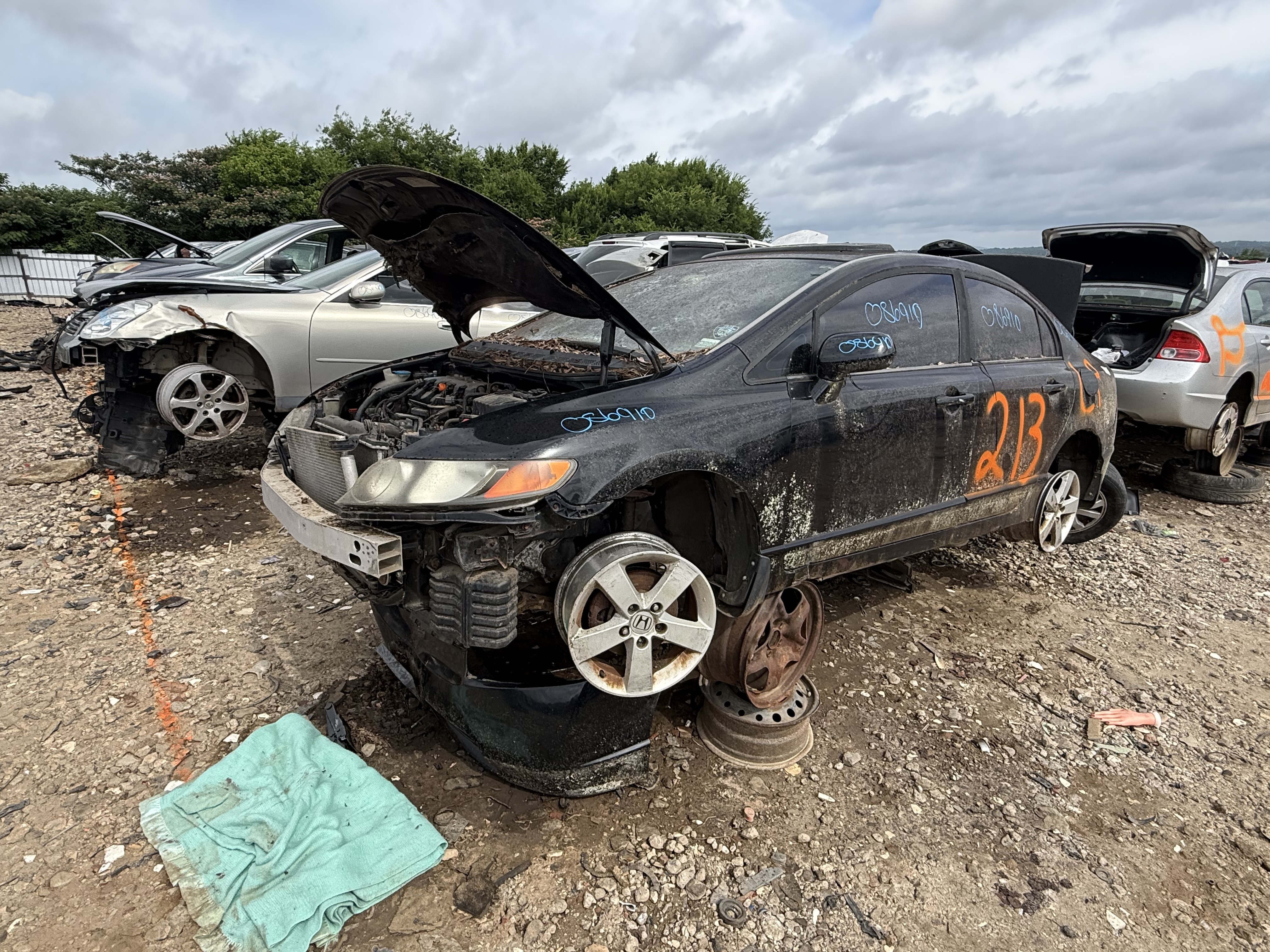 2006 HONDA Civic