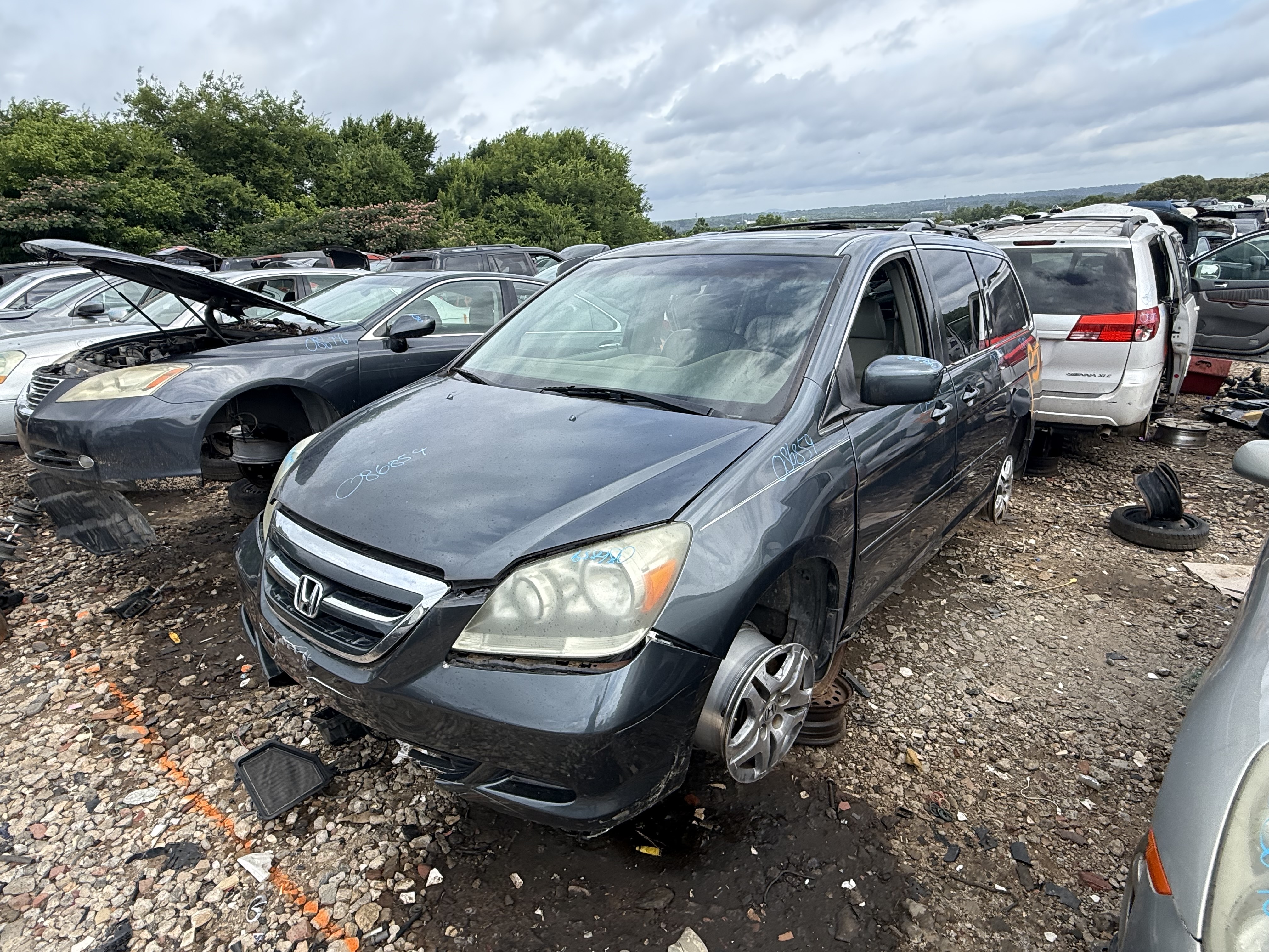 2005 HONDA Odyssey