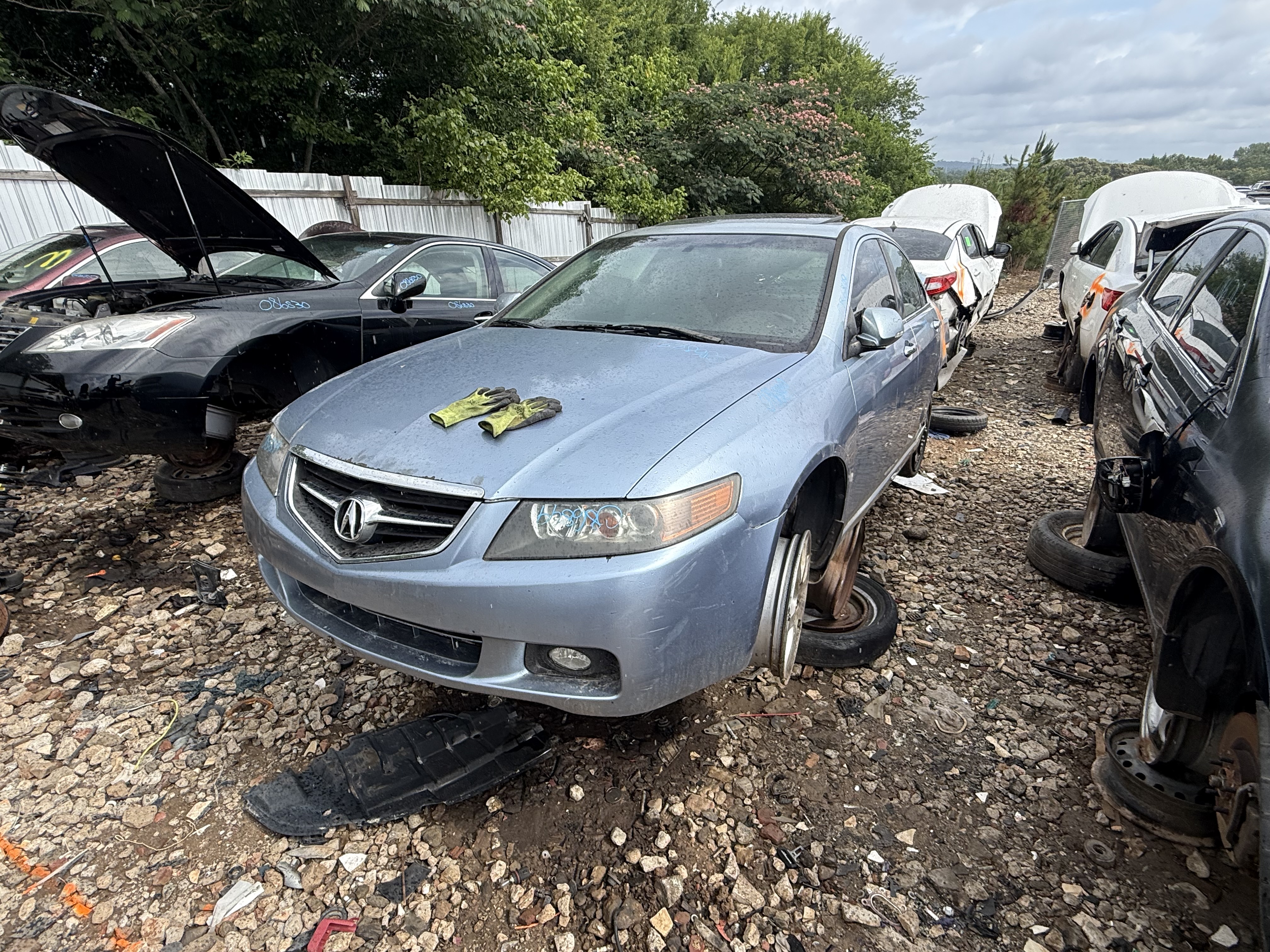 2004 ACURA Tsx