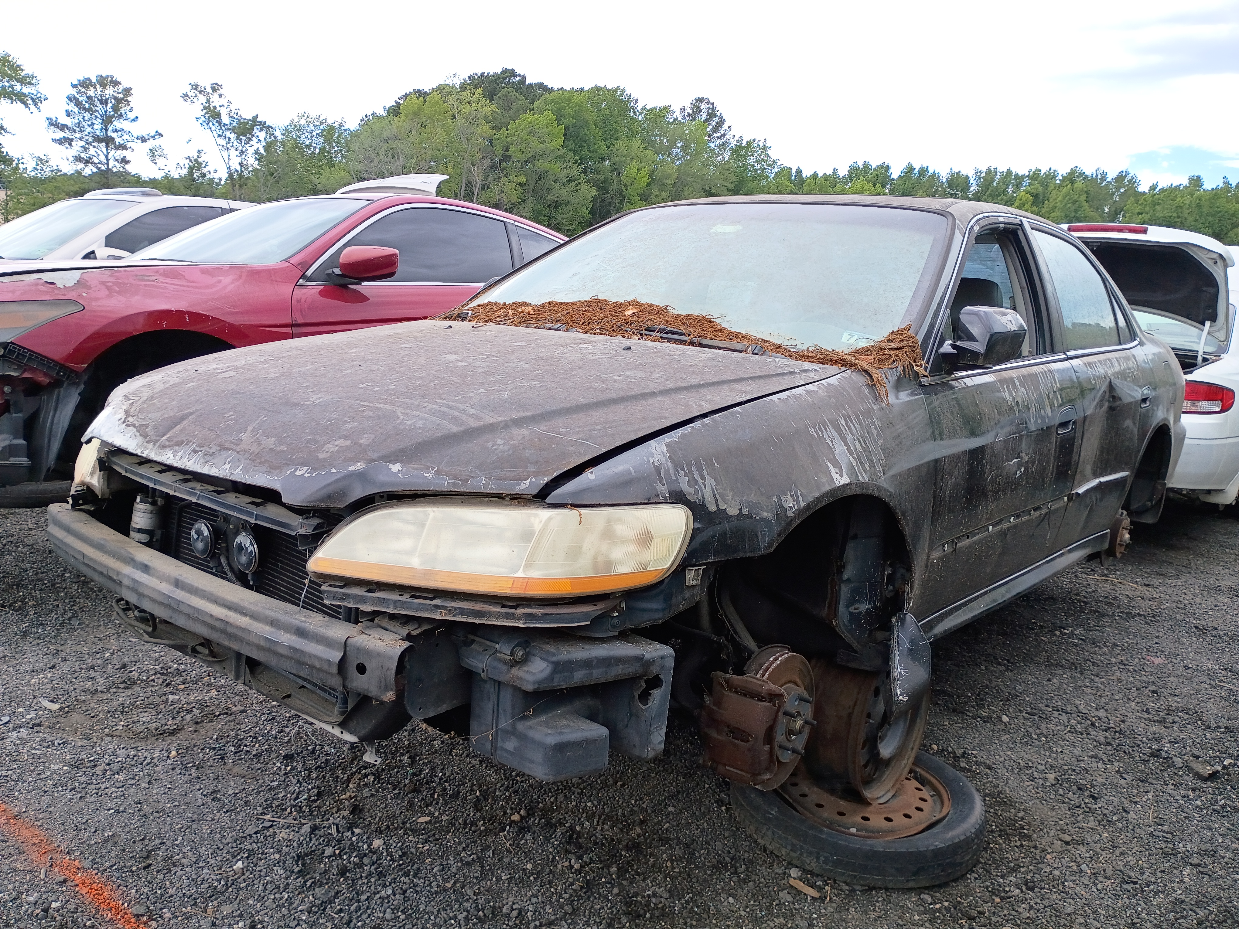 2001 HONDA Accord