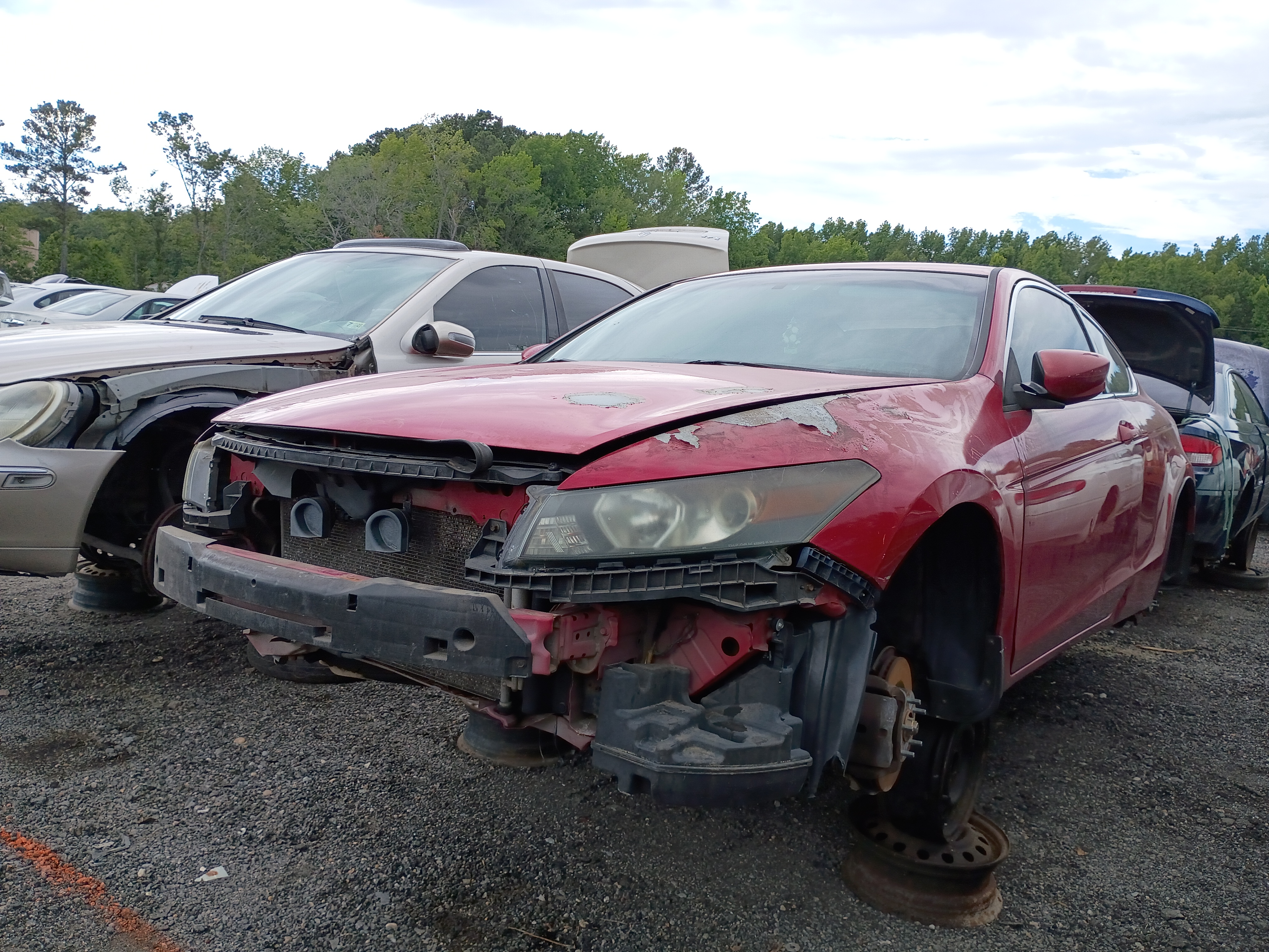 2009 HONDA Accord