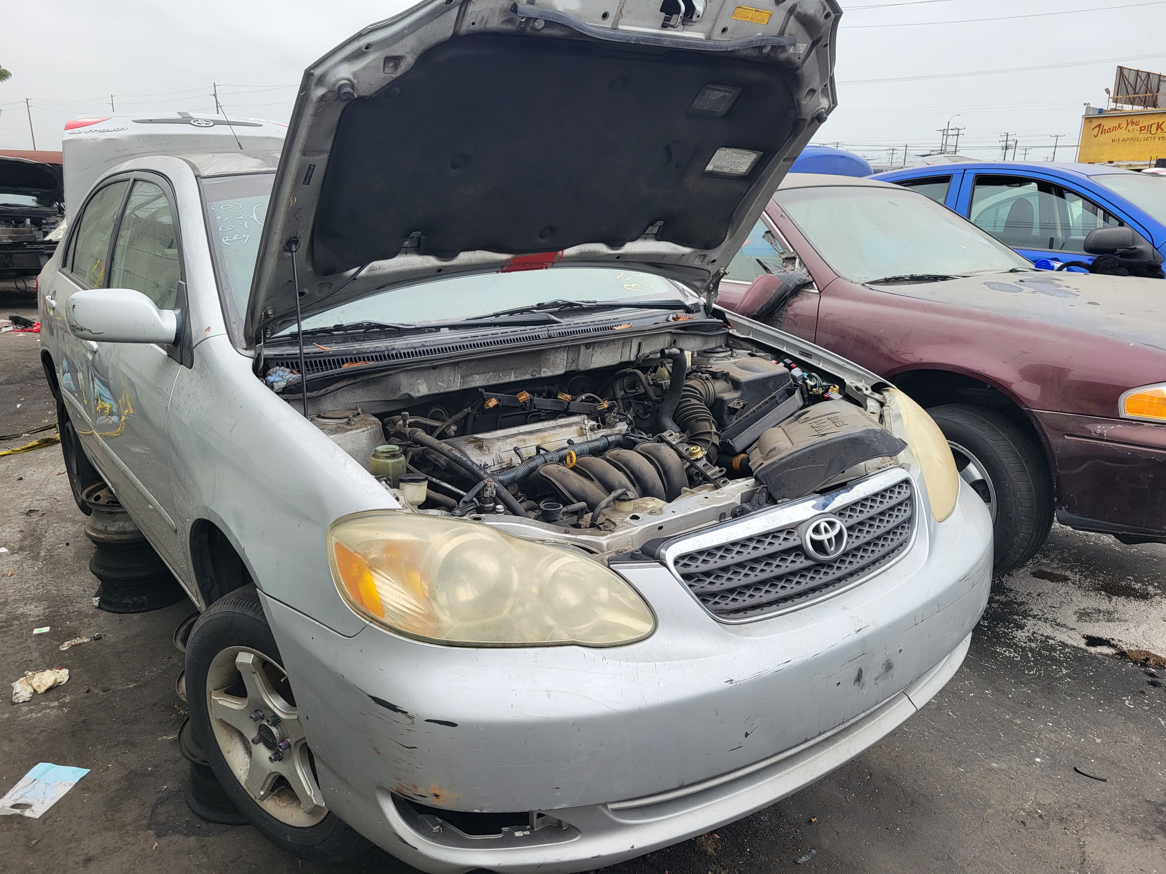 2006 TOYOTA Corolla