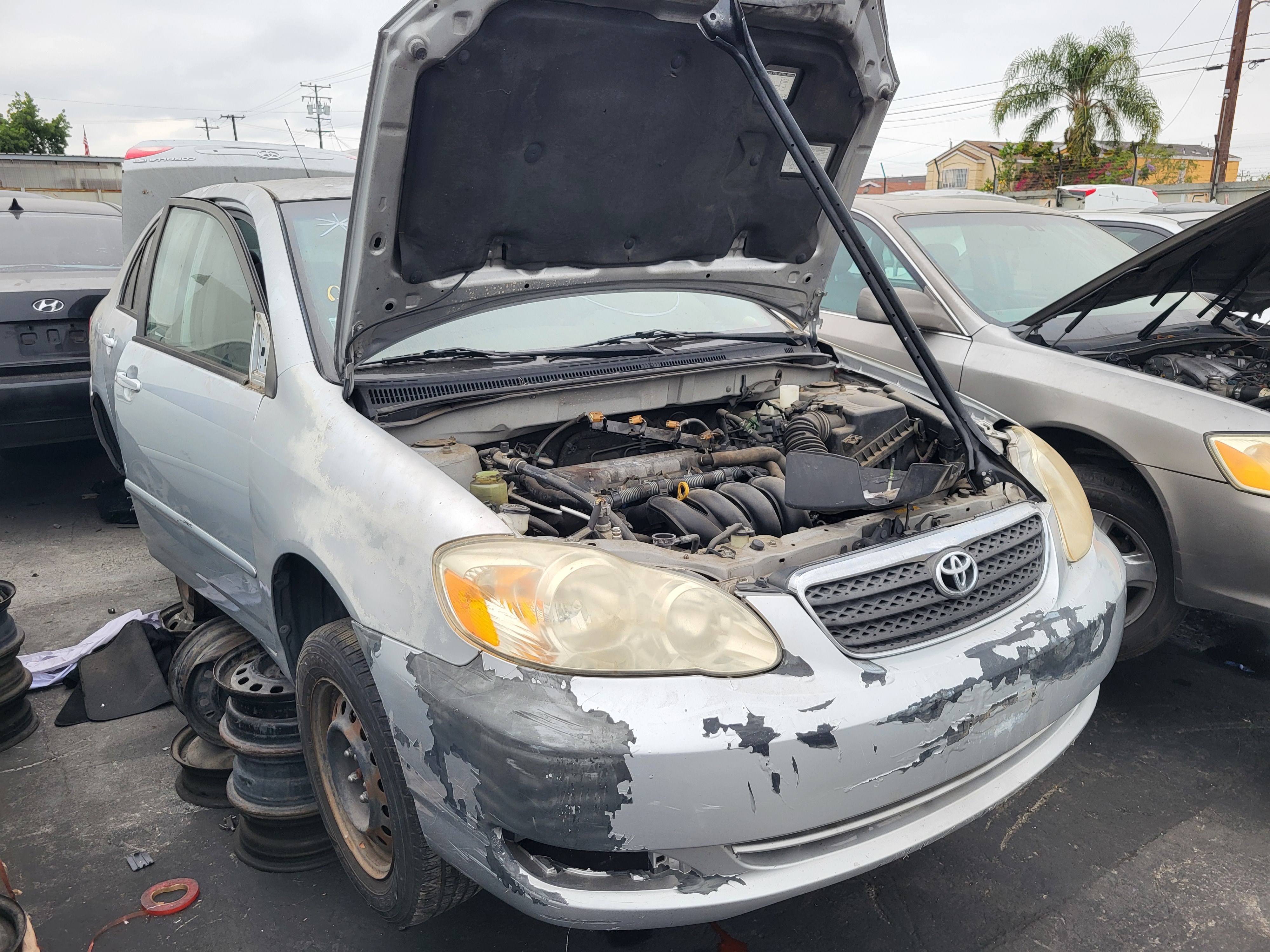 2005 TOYOTA Corolla
