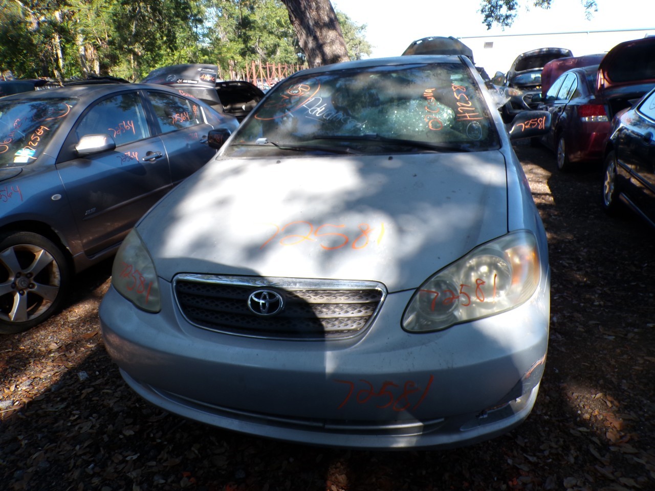 2007 TOYOTA Corolla
