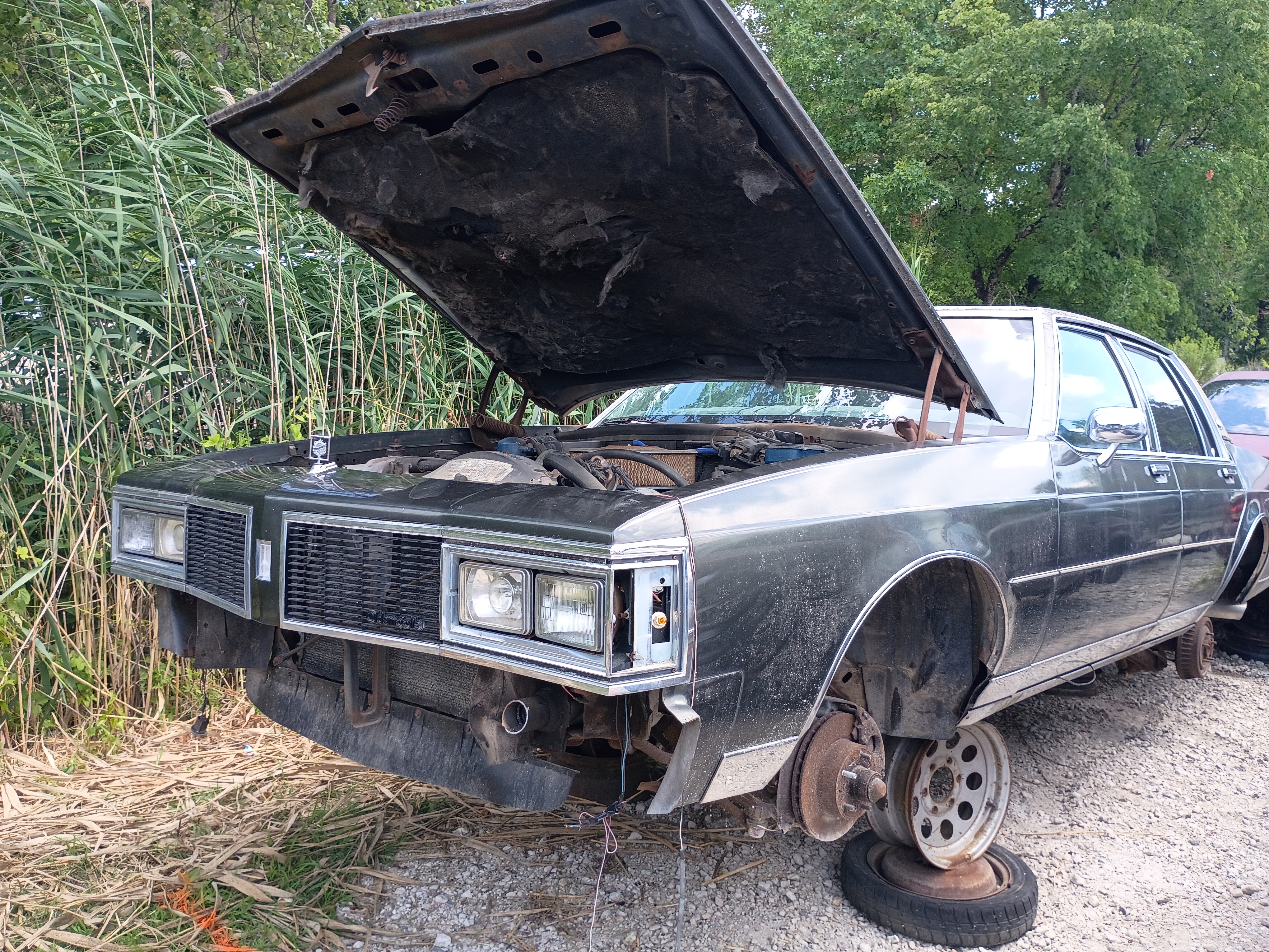 1984 OLDSMOBILE Delta 88