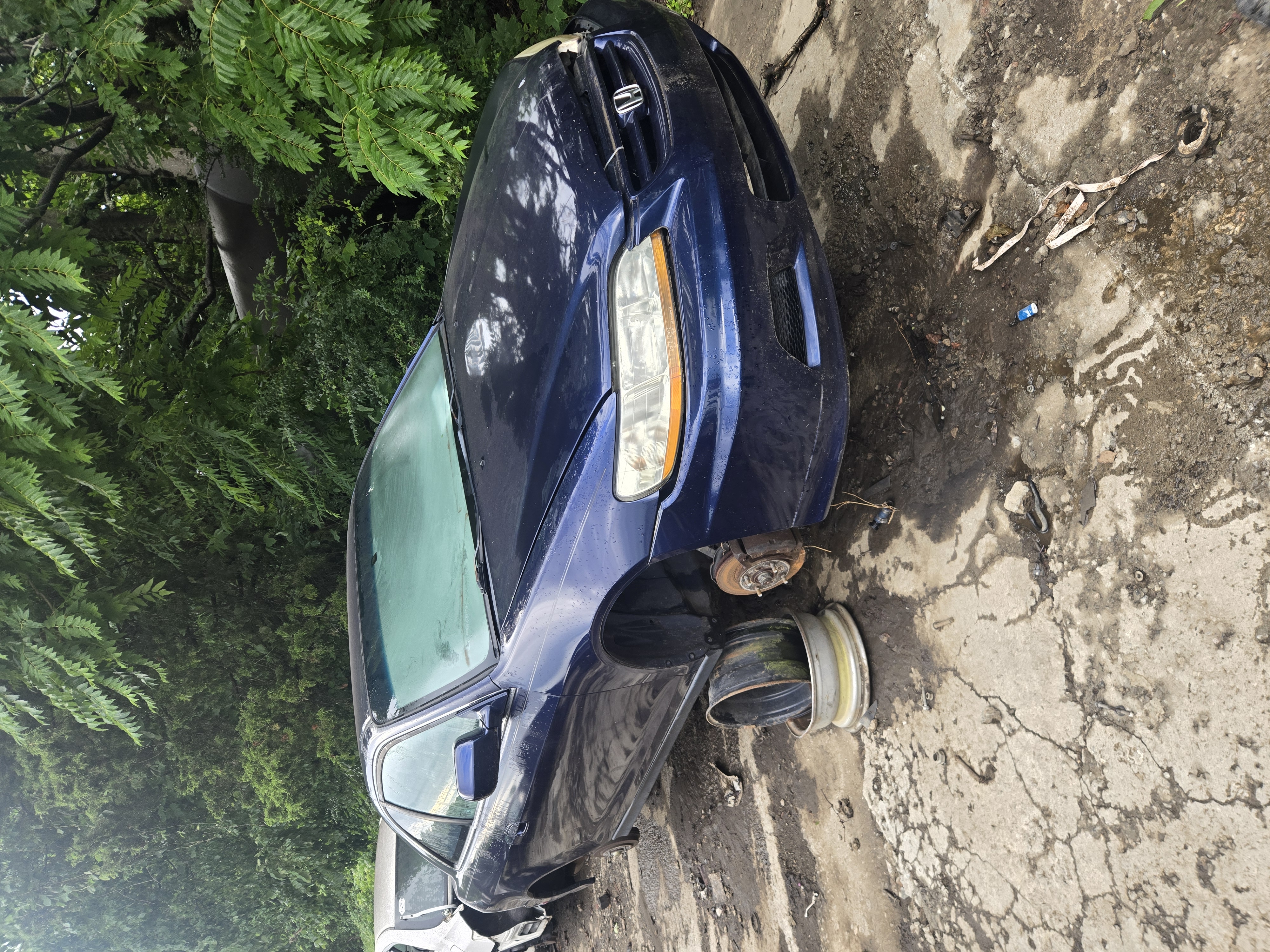 2001 HONDA Accord