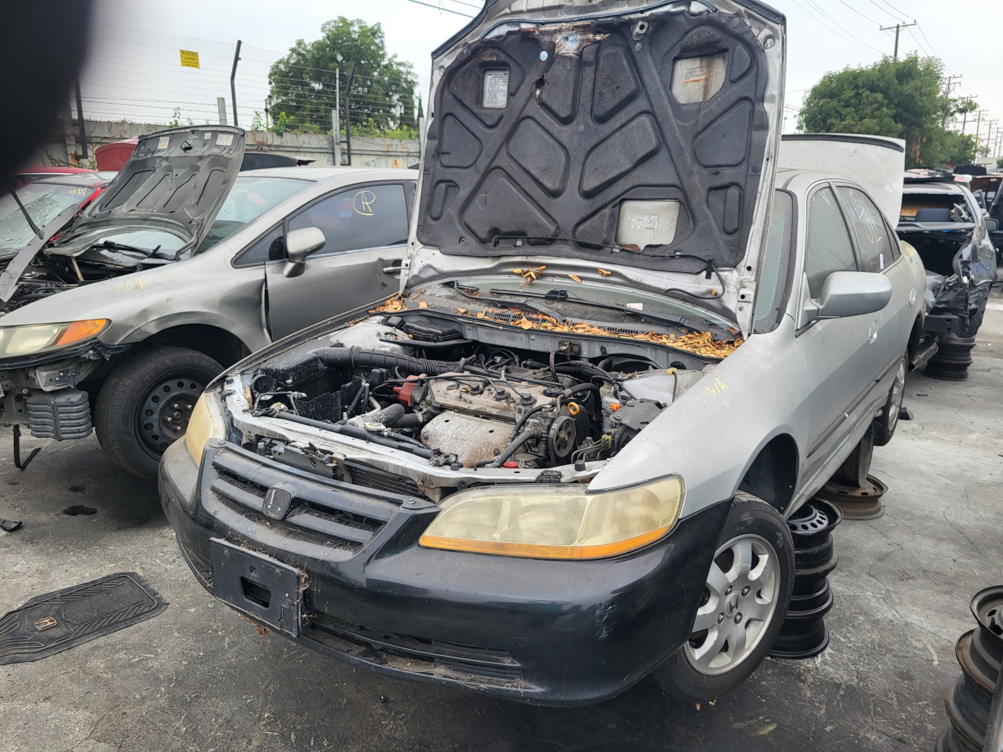 2001 HONDA Accord