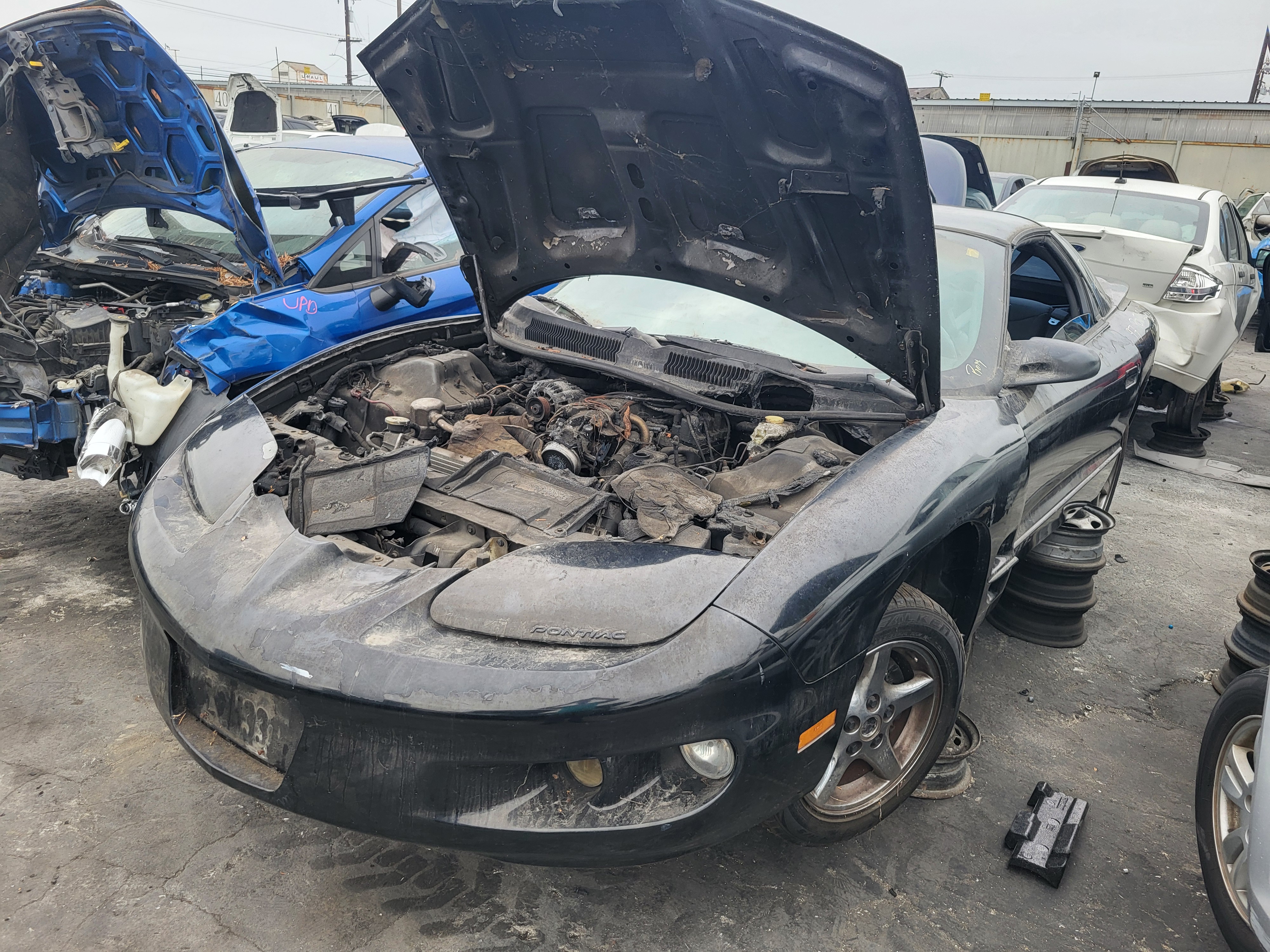 1997 PONTIAC Firebird