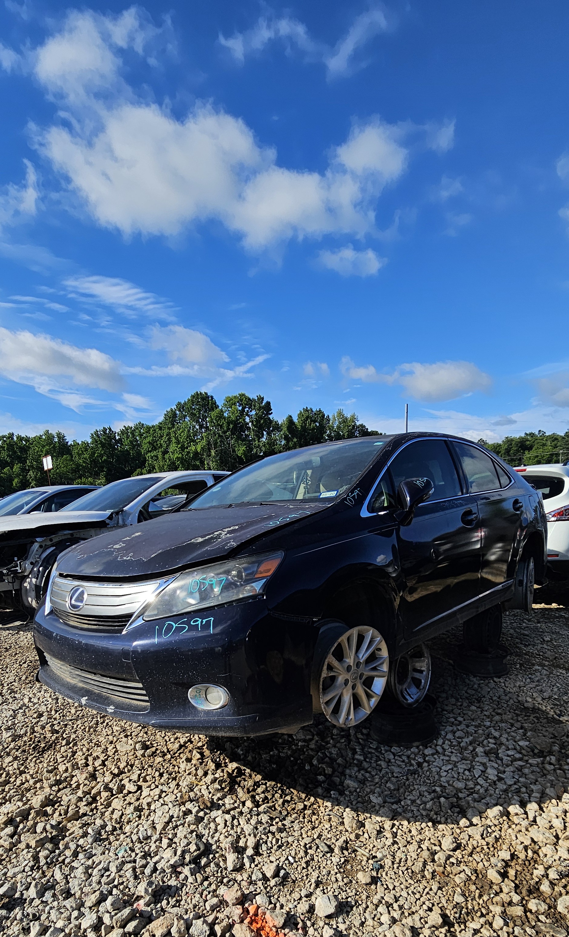 2010 LEXUS HS