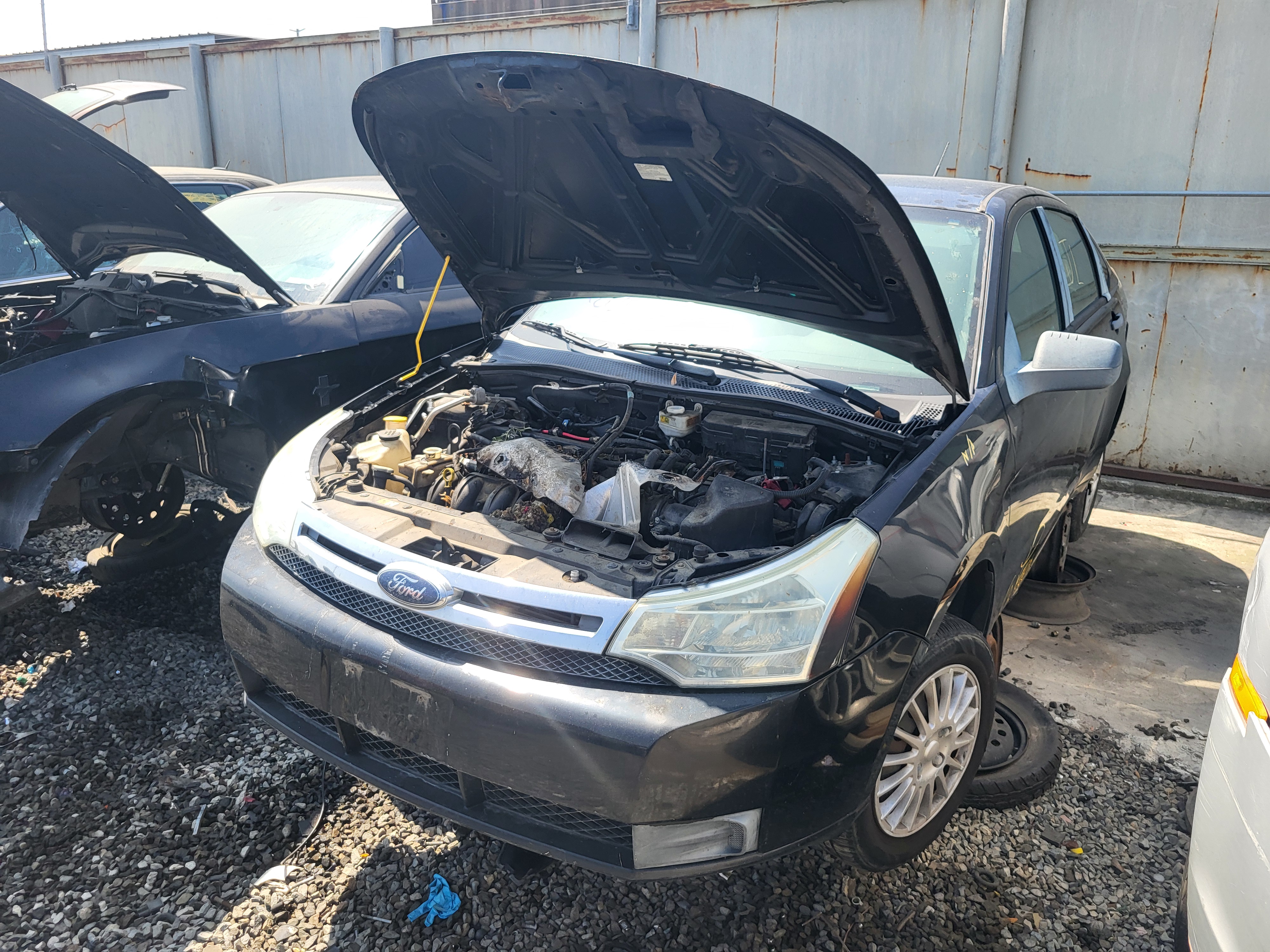 2009 FORD Focus