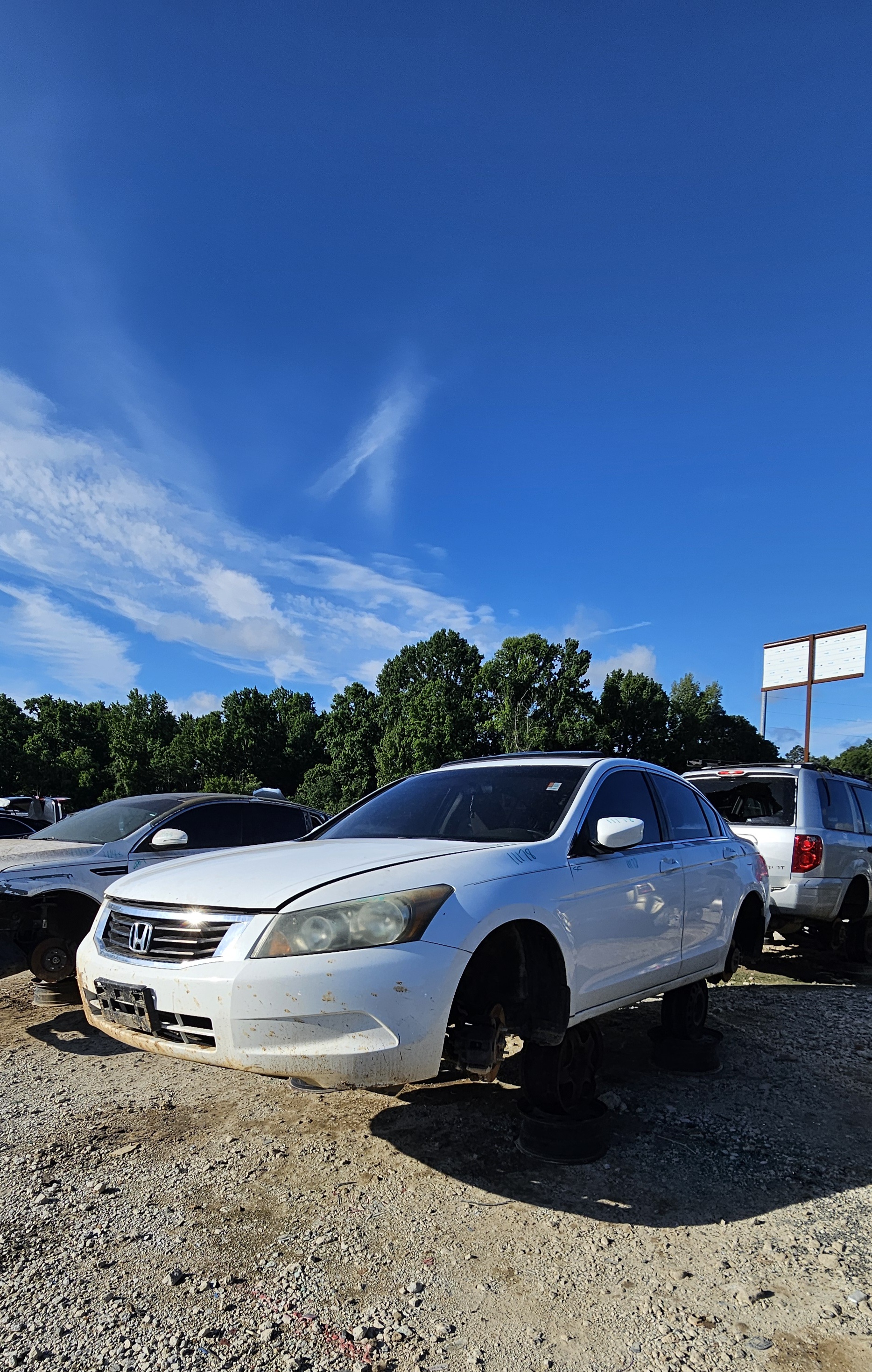 2010 HONDA Accord